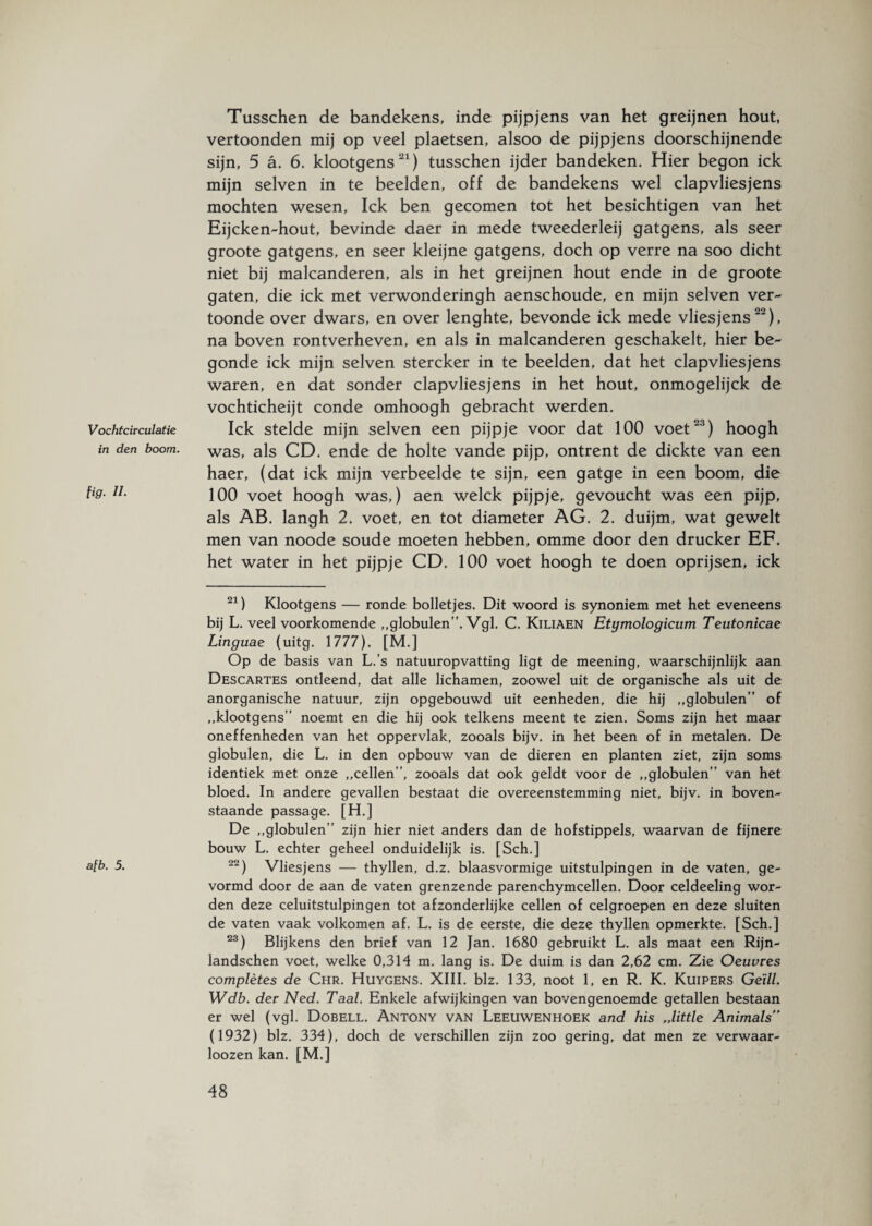 Tusschen de bandekens, inde pijpjens van het greijnen hout, vertoonden mij op veel plaetsen, alsoo de pijpjens doorschijnende sijn, 5 a. 6. klootgens21) tusschen ijder bandeken. Hier begon ick mijn selven in te beelden, off de bandekens wel clapvliesjens mochten wesen, Ick ben gecomen tot het besichtigen van het Eijcken-hout, bevinde daer in mede tweederleij gatgens, als seer groote gatgens, en seer kleijne gatgens, doch op verre na soo dicht niet bij malcanderen, als in het greijnen hout ende in de groote gaten, die ick met verwonderingh aenschoude, en mijn selven ver¬ toonde over dwars, en over lenghte, bevonde ick mede vliesjens), na boven rontverheven, en als in malcanderen geschakelt, hier be- gonde ick mijn selven stercker in te beelden, dat het clapvliesjens waren, en dat sonder clapvliesjens in het hout, onmogelijck de vochticheijt conde omhoogh gebracht werden. Ick stelde mijn selven een pijpje voor dat 100 voet23) hoogh was, als CD. ende de holte vande pijp, ontrent de dickte van een haer, (dat ick mijn verbeelde te sijn, een gatge in een boom, die 100 voet hoogh was,) aen welck pijpje, gevoucht was een pijp, als AB. langh 2. voet, en tot diameter AG. 2. duijm, wat gewelt men van noode soude moeten hebben, omme door den drucker EF. het water in het pijp je CD. 100 voet hoogh te doen oprijsen, ick 21) Klootgens — ronde bolletjes. Dit woord is synoniem met het eveneens bij L. veel voorkomende ,,globulen”. Vgl. C. Kiliaen Etymologicum Teutonicae Linguae (uitg. 1777). [M.] Op de basis van L.’s natuuropvatting ligt de meening, waarschijnlijk aan Descartes ontleend, dat alle lichamen, zoowel uit de organische als uit de anorganische natuur, zijn opgebouwd uit eenheden, die hij ,,globulen” of ,,klootgens” noemt en die hij ook telkens meent te zien. Soms zijn het maar oneffenheden van het oppervlak, zooals bijv. in het been of in metalen. De globulen, die L. in den opbouw van de dieren en planten ziet, zijn soms identiek met onze „cellen”, zooals dat ook geldt voor de „globulen” van het bloed. In andere gevallen bestaat die overeenstemming niet, bijv. in boven¬ staande passage. [H.] De „globulen” zijn hier niet anders dan de hofstippels, waarvan de fijnere bouw L. echter geheel onduidelijk is. [Sch.] afb- -5. 22) Vliesjens — thyllen, d.z. blaasvormige uitstulpingen in de vaten, ge¬ vormd door de aan de vaten grenzende parenchymcellen. Door celdeeling wor¬ den deze celuitstulpingen tot afzonderlijke cellen of celgroepen en deze sluiten de vaten vaak volkomen af. L. is de eerste, die deze thyllen opmerkte. [Sch.] 23) Blijkens den brief van 12 Jan. 1680 gebruikt L. als maat een Rijn- iandschen voet, welke 0,314 m. lang is. De duim is dan 2,62 cm. Zie Oeuvres complètes de Chr. Huygens. XIII. blz. 133, noot 1, en R. K. Kuipers Geill. Wdb. der Ned. Taal. Enkele afwijkingen van bovengenoemde getallen bestaan er wel (vgl. Dobell. Antony van Leeuwenhoek and his „little Animals (1932) blz. 334), doch de verschillen zijn zoo gering, dat men ze verwaar- loozen kan. [M.] Vochtcirculatie in den boom. tig. II.