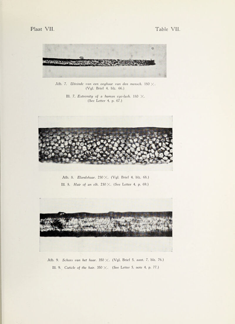 Afb. 7. Uiteinde van een ooghaar van den mensch. 180 X • (Vgl. Brief 4, blz. 66.) Ill. 7. Extremity of a human eye~lash. 180 X. (See Letter 4, p. 67.) Afb. 8. Elandshaar. 230 X. (Vgl. Brief 4, blz. 68.) Ill. 8. Hair of an elk. 230 X. (See Letter 4, p. 69.) Afb. 9. Schors van het haar. 350 X* (Vgl. Brief 5, aant. 7, blz. 76.)