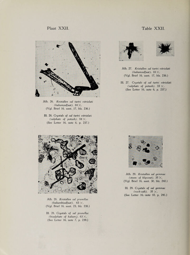 Afb. 26. Kristallen sal tartri vitriolati (kaliumsulfaat). 84 X. (Vgl. Brief 16, aant. 17, blz. 236.) Ill. 26. Crystals of sal tartri vitriolati (sulphate of potash). 84 X. (See Letter 16, note 6, p. 237.) Afb. 27. Kristallen sal tartri vitriolati (kaliumsulfaat). 33 X. (Vgl. Brief 16, aant. 17, blz. 236.) Ill. 27. Crystals of sal tartri vitriolati (sulphate of potash). 33 X- (See Letter 16, note 6, p. 237.) Afb. 28. Kristallen sal prunellae (kaliumbisulfaat). 63 X* (Vgl. Brief 16, aant. 23, blz. 238.) Ill. 28. Crystals of sal prunellae (bisulphate of kalium). 63 X. (See Letter 16, note 7, p. 239.) Afb. 29. Kristallen sal gemmae (steen- of klipzout). 35 X. (Vgl. Brief 16, aant. 30, blz. 240.) Ill. 29. Crystals of sal gemmae (rock-salt). 35 X-