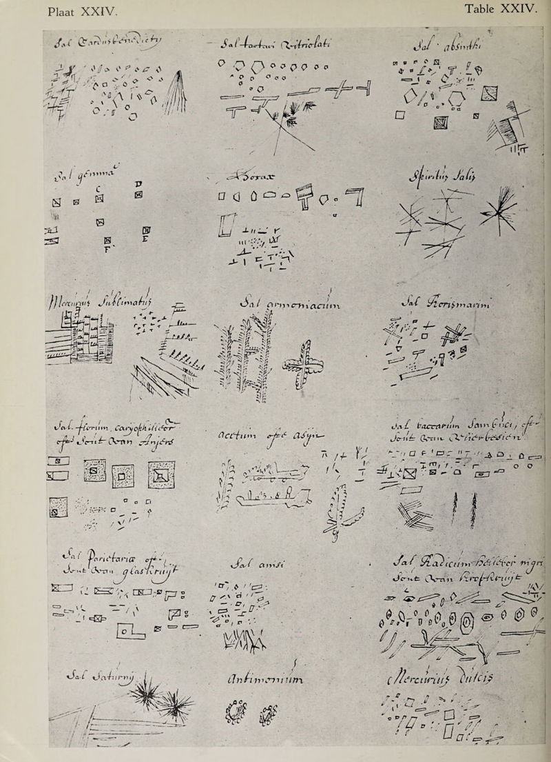 Plaat XXÏV. J-t' ' O/o <?**&/? N\ -3' ^ C' <‘7- ■> \ & o *> wj & f” *® Jj (jf S 0 % 7& C B © F' P 0 F S^ (-i-Curi-cit-t CXs-xXrnC'Pfth 7> crfrcxJC a ei ö *p ^ fef q c Yf h 1- £ UI '■•'■■/ W s j*~ ’’~/r; \ *.\ ^ r ' ( — p- , óai ‘ ilbSniiri Jfjïinlu} Jali) ónt ■; p^)i n-uannn 'h mus- *MrJ m k r f f, / -■ (V*— t- o-t. -Hin^iitn , Ccu'uQik vticcc-r' <rj±J’ iX-t i ^ tVn n : S j r r plppZ XI I ■ rs'-ïl vbg Li ° o n ■'< o ~ f \/ t- a 1 'Pc'wc£ancp Y* l cV'11 CXmulcvS i\tny \L IS7,' , < f-j s C-TP 'V. — I \ _ ! e£ï£> F7 E» «_Iq i Ua/urm/ •w XF-r *’5? ,£'F ‘r i/ni erJi:tC £t'r tj Jn.£ yicnj, tnanvtt ■Jci£ tacmu^thn Jav>'b nCi, ct Jcrné: Gv'ri iv i<\i~ficciA' tn^fi cc tt.1. '> /f ■'VVciF ! 'y Ph qJL^1.’ '--~ ‘ V~w- .9 r; ( v^ a F ' o c~ ’ < /.., -J T m f f • f“ o o •7 J-/^Cy?  KI n --- =0 4' /*» -V / i v^*/* <T//;»t' bóiUcvci'' fyicjrt j * ^ - j ^ . ü ti C\m n rï+Tf-t t ^ V'„ f |t J# ^ tl n f* im>mi utri C f/frci truti ^tifch