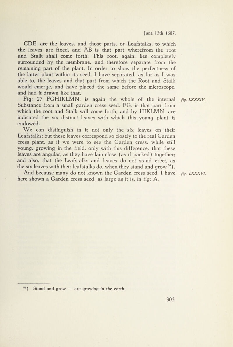CDE. are the leaves, and those parts, or Leafstalks, to which the leaves are fixed, and AB is that part wherefrom the root and Stalk shall come forth. This root, again, lies completely surrounded by the membrane, and therefore separate from the remaining part of the plant. In order to show the perfectness of the latter plant within its seed, I have separated, as far as I was able to, the leaves and that part from which the Root and Stalk would emerge, and have placed the same before the microscope, and had it drawn like that. Fig: 27 FGHIKLMN. is again the whole of the internal fig. LXXXiv. Substance from a small garden cress seed. FG. is that part from which the root and Stalk will come forth, and by HIKLMN. are indicated the six distinct leaves with which this young plant is endowed. We can distinguish in it not only the six leaves on their Leafstalks; but these leaves correspond so closely to the real Garden cress plant, as if we were to see the Garden cress, while still young, growing in the field, only with this difference, that these leaves are angular, as they have lain close (as if packed) together; and also, that the Leafstalks and leaves do not stand erect, as the six leaves with their leafstalks do, when they stand and grow50). And because many do not known the Garden cress seed, I have fig. lxxxvi. here shown a Garden cress seed, as large as it is, in fig: A. 56) Stand and grow — are growing in the earth.