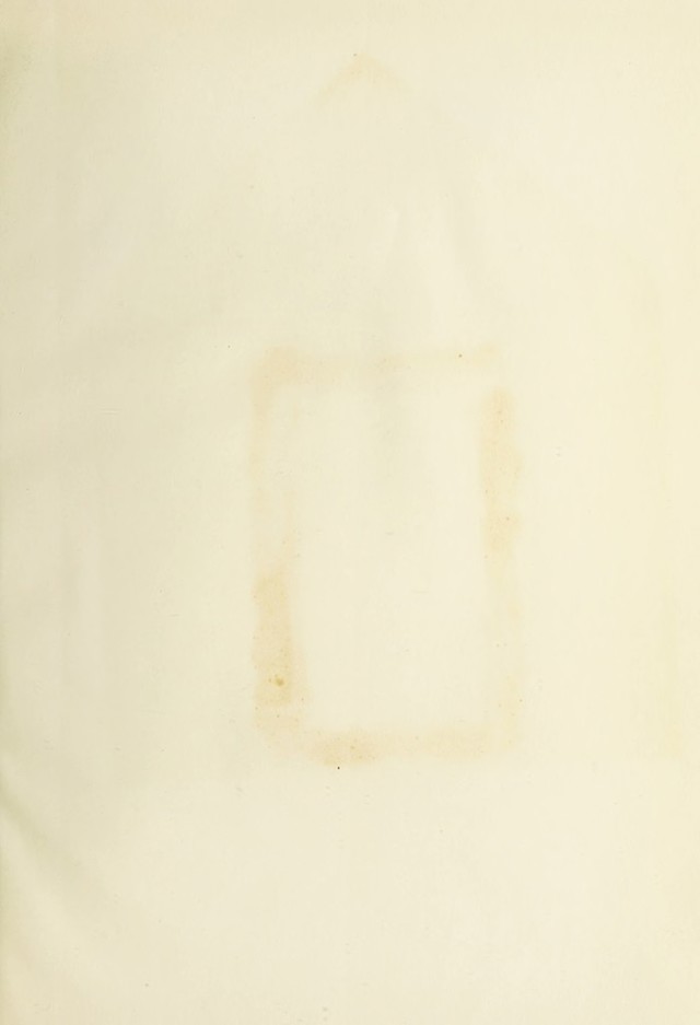 digitised image 3