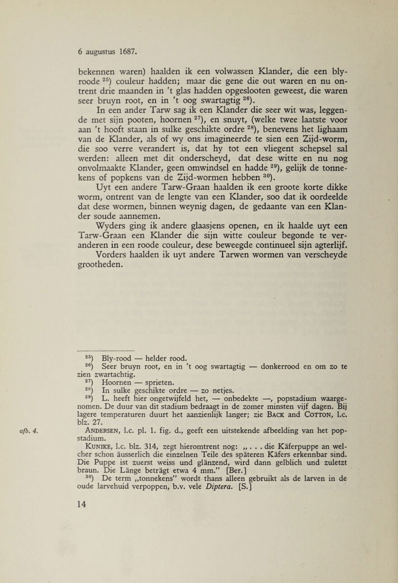 afb. 4. bekennen waren) haalden ik een volwassen Klander, die een bly- roode 25) couleur hadden; maar die gene die out waren en nu on¬ trent drie maanden in 't glas hadden opgeslooten geweest, die waren seer bruyn root, en in 't oog swartagtig 26). In een ander Tarw sag ik een Klander die seer wit was, leggen¬ de met sijn pooten, hoornen 27), en snuyt, (welke twee laatste voor aan 't hooft staan in sulke geschikte ordre 28), benevens het lighaam van de Klander, als of wy ons imagineerde te sien een Zijd-worm, die soo verre verandert is, dat hy tot een vliegent schepsel sal werden: alleen met dit onderscheyd, dat dese witte en nu nog onvolmaakte Klander, geen omwindsel en hadde 29), gelijk de tonne- kens of popkens van de Zijd-wormen hebben 30). Uyt een andere Tarw-Graan haalden ik een groote korte dikke worm, ontrent van de lengte van een Klander, soo dat ik oordeelde dat dese wormen, binnen weynig dagen, de gedaante van een Klan¬ der soude aannemen. Wyders ging ik andere glaasjens openen, en ik haalde uyt een Tarw-Graan een Klander die sijn witte couleur begonde te ver¬ anderen in een roode couleur, dese beweegde continueel sijn agterlijf. Vorders haalden ik uyt andere Tarwen wormen van verscheyde grootheden. 25) Bly-rood — helder rood. 26) Seer bruyn root, en in 't oog swartagtig — donkerrood en om zo te zien zwartachtig. 27) Hoornen — sprieten. 28) In sulke geschikte ordre — zo netjes. 29) L. heeft hier ongetwijfeld het, — onbedekte —, popstadium waarge¬ nomen. De duur van dit stadium bedraagt in de zomer minsten vijf dagen. Bij lagere temperaturen duurt het aanzienlijk langer; zie Back and Cotton, l.c. blz. 27. Andersen, l.c. pl. 1. fig. d., geeft een uitstekende afbeelding van het pop¬ stadium. Kunike, l.c. blz. 314, zegt hieromtrent nog: „ . . . die Kaferpuppe an wel- cher schon ausserlich die einzelnen Teile des spateren Kafers erkennbar smd. Die Puppe ist zuerst weiss und glanzend, wird dann gelblich und zuletzt braun. Die Lange betragt etwa 4 mm.” [Ber.] 30) De term „tonnekens” wordt thans alleen gebruikt als de larven in de oude larvehuid verpoppen, b.v. vele Diptera. [S.]