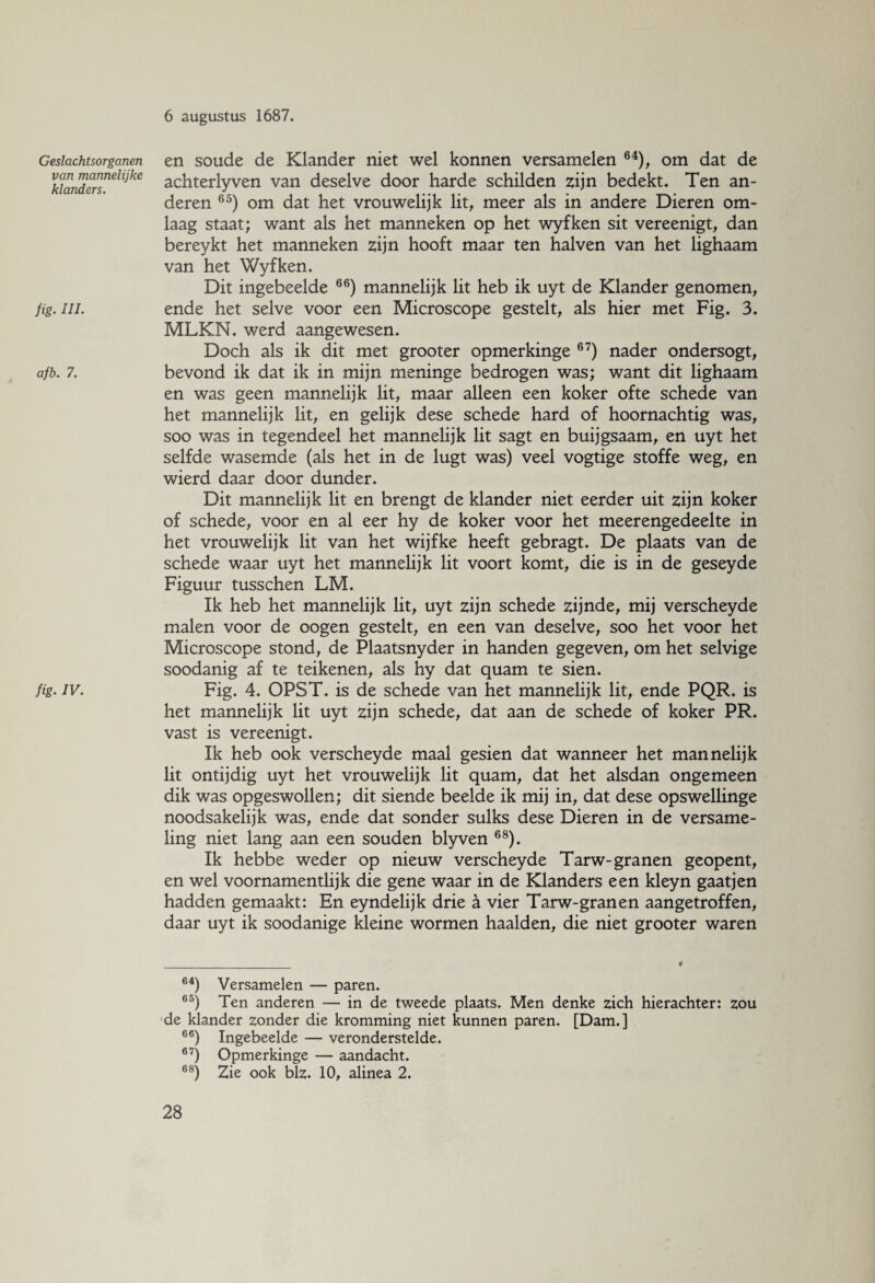 Geslachtsorganen van mannelijke klanders. fig• HL afb. 7. fig. IV. en soude de Klander niet wel konnen versamelen 64), om dat de achterlyven van deselve door harde schilden zijn bedekt. Ten an¬ deren 65) om dat het vrouwelijk lit, meer als in andere Dieren om¬ laag staat; want als het manneken op het wyfken sit vereenigt, dan bereykt het manneken zijn hooft maar ten halven van het lighaam van het Wyfken. Dit ingebeelde 66) mannelijk lit heb ik uyt de Klander genomen, ende het selve voor een Microscope gestelt, als hier met Fig. 3. MLKN. werd aangewesen. Doch als ik dit met grooter opmerkinge 67) nader ondersogt, bevond ik dat ik in mijn meninge bedrogen was; want dit lighaam en was geen mannelijk lit, maar alleen een koker ofte schede van het mannelijk lit, en gelijk dese schede hard of hoornachtig was, soo was in tegendeel het mannelijk lit sagt en buijgsaam, en uyt het selfde wasemde (als het in de lugt was) veel vogtige stoffe weg, en wierd daar door dunder. Dit mannelijk lit en brengt de klander niet eerder uit zijn koker of schede, voor en al eer hy de koker voor het meerengedeelte in het vrouwelijk lit van het wijfke heeft gebragt. De plaats van de schede waar uyt het mannelijk lit voort komt, die is in de geseyde Figuur tusschen LM. Ik heb het mannelijk lit, uyt zijn schede zijnde, mij verscheyde malen voor de oogen gestelt, en een van deselve, soo het voor het Microscope stond, de Plaatsnyder in handen gegeven, om het selvige soodanig af te teikenen, als hy dat quam te sien. Fig. 4. OPST. is de schede van het mannelijk lit, ende PQR. is het mannelijk lit uyt zijn schede, dat aan de schede of koker PR. vast is vereenigt. Ik heb ook verscheyde maal gesien dat wanneer het mannelijk lit ontijdig uyt het vrouwelijk lit quam, dat het alsdan ongemeen dik was opgeswollen; dit siende beelde ik mij in, dat dese opswellinge noodsakelijk was, ende dat sonder sulks dese Dieren in de versame- ling niet lang aan een souden blyven 68). Ik hebbe weder op nieuw verscheyde Tarw-granen geopent, en wel voornamentlijk die gene waar in de Klanders een kleyn gaat jen hadden gemaakt: En eyndelijk drie a vier Tarw-granen aangetroffen, daar uyt ik soodanige kleine wormen haalden, die niet grooter waren 64) Versamelen — paren. 65) Ten anderen — in de tweede plaats. Men denke zich hierachter: zou de klander zonder die kromming niet kunnen paren. [Dam.] 66) Ingebeelde — veronderstelde. 67) Opmerkinge — aandacht. 68) Zie ook blz. 10, alinea 2.