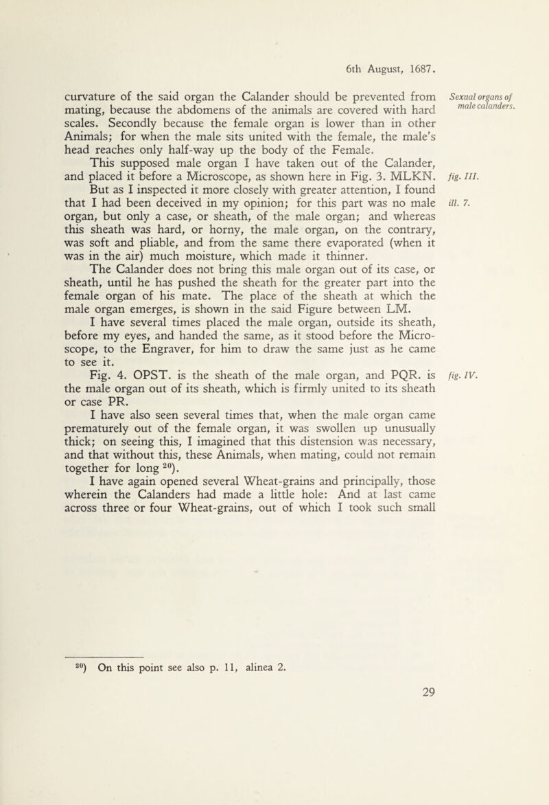 curvature of the said organ the Calander should be prevented from mating, because the abdomens of the animals are covered with hard scales. Secondly because the female organ is lower than in other Animals; for when the male sits united with the female, the male's head reaches only half-way up the body of the Female. This supposed male organ I have taken out of the Calander, and placed it before a Microscope, as shown here in Fig. 3. MLKN. But as I inspected it more closely with greater attention, I found that I had been deceived in my opinion; for this part was no male organ, but only a case, or sheath, of the male organ; and whereas this sheath was hard, or horny, the male organ, on the contrary, was soft and pliable, and from the same there evaporated (when it was in the air) much moisture, which made it thinner. The Calander does not bring this male organ out of its case, or sheath, until he has pushed the sheath for the greater part into the female organ of his mate. The place of the sheath at which the male organ emerges, is shown in the said Figure between LM. I have several times placed the male organ, outside its sheath, before my eyes, and handed the same, as it stood before the Micro¬ scope, to the Engraver, for him to draw the same just as he came to see it. Fig. 4. OPST. is the sheath of the male organ, and PQR. is the male organ out of its sheath, which is firmly united to its sheath or case PR. I have also seen several times that, when the male organ came prematurely out of the female organ, it was swollen up unusually thick; on seeing this, I imagined that this distension was necessary, and that without this, these Animals, when mating, could not remain together for long 20). I have again opened several Wheat-grains and principally, those wherein the Calanders had made a little hole: And at last came across three or four Wheat-grains, out of which I took such small Sexual organs of male calanders. fig• UL ill. 7. fig• IV. 20) On this point see also p. 11, alinea 2.