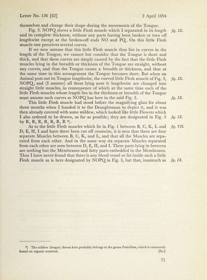 themselves and change their shape during the movements of the Tongue. Fig. 3. NOPQ shows a little Flesh muscle which I separated in its length and its complete thickness, without any parts having been broken or torn off lengthwise except at the broken-off ends NO and PQ. On this little Flesh muscle one perceives several curves. If we now assume that this little Flesh muscle thus lies in curves in the length of the Tongue, we cannot but consider that the Tongue is short and thick, and that these curves are simply caused by the fact that the little Flesh muscles lying in the breadth or thickness of the Tongue are straight, without any curves, and thus the Tongue causes a breadth or thickness, and that at the same time in this arrangement the Tongue becomes short. But when an Animal puts out its Tongue lengthwise, the curved little Flesh muscle of Fig. 3, NOPQ, and (I assume) all those lying near it lengthwise are changed into straight little muscles, in consequence of which at the same time each of the little Flesh muscles whose length lies in the thickness or breadth of the Tongue must assume such curves as NOPQhas here in the said Fig. 3. This little Flesh muscle had stood before the magnifying glass for about three months when I handed it to the Draughtsman to depict it, and it was then already covered with some mildew, which looked like little Flowers which I also ordered to be drawn, as far as possible; they are designated in Fig. 3 by R, R, R, R, R, R, R 6). As to the little Flesh muscles which lie in Fig. 1 between B, C, K, L and D, E, H, I and have there been cut off crosswise, it is seen that there are four separate Muscles between B, C, K, and L, and that all the Muscles are sepa¬ rated from each other. And in the same way six separate Muscles separated from each other are seen between D, E, H, and I. These parts lying in between are nothing but the Membranes and fatty parts embedded in the Membranes. Thus I have never found that there is any blood vessel or fat inside such a little Flesh muscle as is here designated by NOPQin Fig. 3, but that, inasmuch as 6) The mildew (fungus) shown here probably belongs to the genus Penicillium, which is commonly found on organic material. [Sa.] fig. ix. fig• IX. fig. IX. fig. IX. fig. VII. fig. IX.