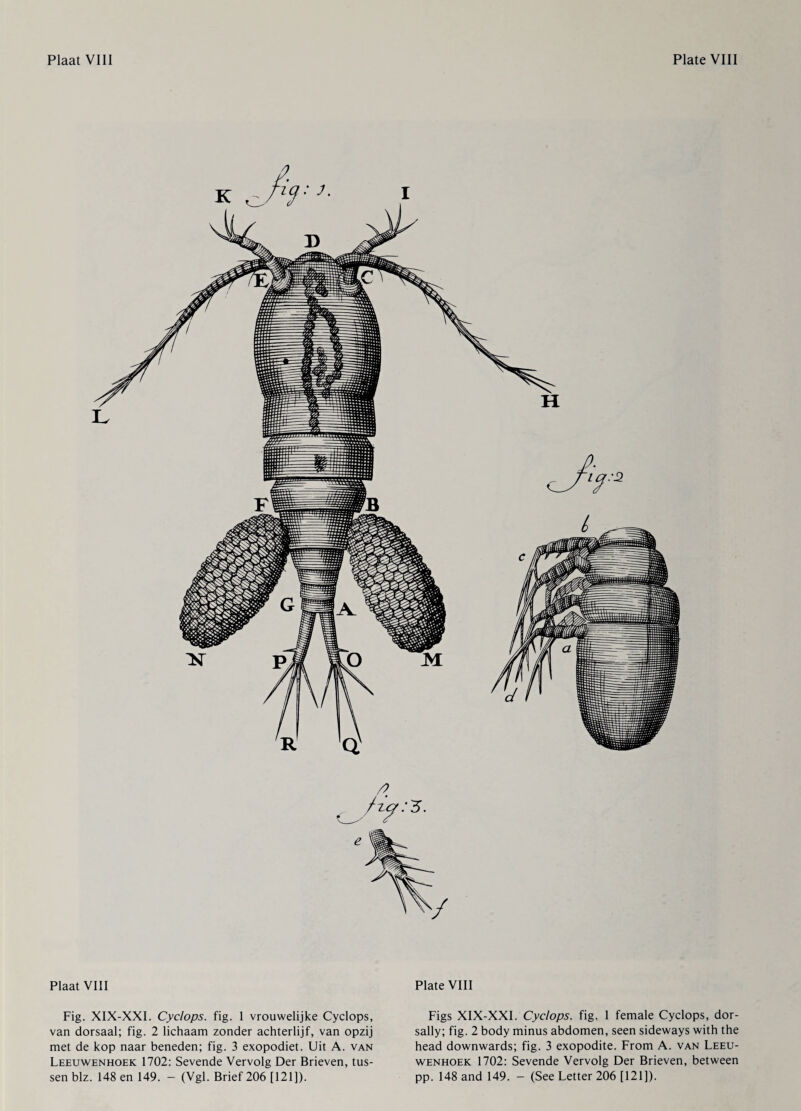 Plaat VIII Fig. XIX-XXI. Cyclops, fig. 1 vrouwelijke Cyclops, van dorsaal; fig. 2 lichaam zonder achterlijf, van opzij met de kop naar beneden; fig. 3 exopodiet. Uit A. van Leeuwenhoek 1702: Sevende Vervolg Der Brieven, tus¬ sen blz. 148 en 149. - (Vgl. Brief 206 [121]). Plate VIII Figs XIX-XXI. Cyclops, fig. 1 female Cyclops, dor- sally; fig. 2 body minus abdomen, seen sideways with the head downwards; fig. 3 exopodite. From A. van Leeu¬ wenhoek 1702: Sevende Vervolg Der Brieven, between pp. 148 and 149. - (See Letter 206 [121]).