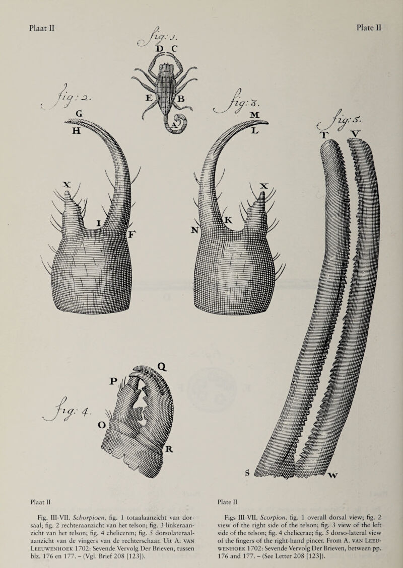 Plaat II Fig. III-VII. Schorpioen, fig. 1 totaalaanzicht van dor¬ saal; fig. 2 rechteraanzicht van het telson; fig. 3 linkeraan- zicht van het telson; fig. 4 cheliceren; fig. 5 dorsolateraal- aanzicht van de vingers van de rechterschaar. Uit A. van Leeuwenhoek 1702: Sevende Vervolg Der Brieven, tussen blz. 176 en 177. - (Vgl. Brief 208 [123]). Plate II Figs III-VII. Scorpion, fig. 1 overall dorsal view; fig. 2 view of the right side of the telson; fig. 3 view of the left side of the telson; fig. 4 chelicerae; fig. 5 dorso-lateral view of the fingers of the right-hand pincer. From A. van Leeu¬ wenhoek 1702: Sevende Vervolg Der Brieven, between pp. 176 and 177. - (See Letter 208 [123]).