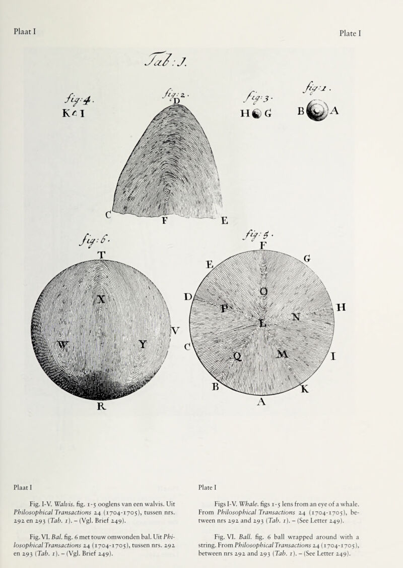 Plaat I Fig. I-V. Walvis, fig. 1-5 ooglens van een walvis. Uit Philosophical Transactions 24 (1704-1705), tussen nrs. 292 en 293 (Tab. 1). - (Vgl. Brief 249). Fig. VI. Bal. fig. 6 met touw omwonden bal. Uit Phi¬ losophical Transactions 24 (1704-1705), tussen nrs. 292 en 293 (Tab. 1).- (Vgl. Brief 249). Plate I Figs I-V. Whale, figs 1-5 lens from an eye of a whale. From Philosophical Transactions 24 (1704-1705), be¬ tween nrs 292 and 293 (Tab. 1). - (See Letter 249). Fig. VI. Ball. fig. 6 ball wrapped around with a string. From PhilosophicalTransactions 24 (1704-1705), between nrs 292 and 293 (Tab. 1). - (See Letter 249).