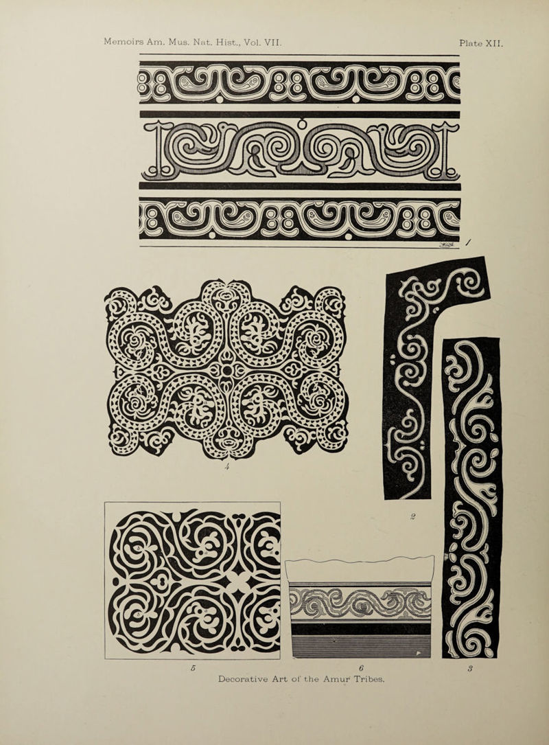 Memoirs Am. Mus. Nat. Hist., Vol. VII. Plate XII. Decorative Art of the Amur Tribes.