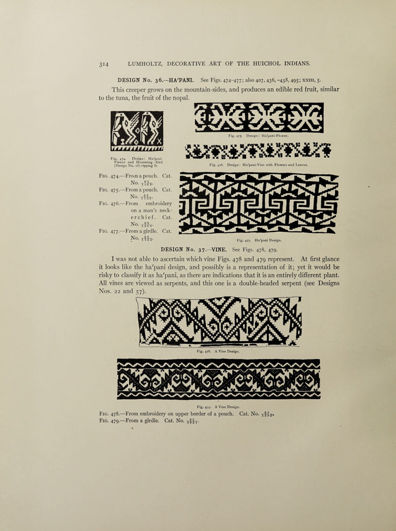DESIGN No. 36.—HA'PANT. See Figs. 474-477; also 407, 436,-438, 495; xxiii, 5. This creeper grows on the mountain-sides, and produces an edible red fruit, similar to the tuna, the fruit of the nopal. iji. 474. xscsiKM . nit in- ” -— — Flower and Humming-Bird . . ... (Design No. 18) sipping ft. Fig. 476. Design : Ha'pam-Vine with Flowers and Leaves. Fig. 474.—From a pouch. Cat. Mo ^6 5 Fig. 475.—From a pouch. Cat. No. Trihr- Fig. 476.—From embroidery on a man’s neck- e r c h i e f. Cat. Mn 6 5 rS0- 13T8- Fig. 477.—Fromagirdle. Cat. No. xrlr- Fig. 477. Ha'pani Design. DESIGN No. 37.—VINE. See Figs. 478, 479. I was not able to ascertain which vine Figs. 478 and 479 represent. At first glance it looks like the ha'pani design, and possibly is a representation of it; yet it would be risky to classify it as ha'pani, as there are indications that it is an entirely different plant. All vines are viewed as serpents, and this one is a double-headed serpent (see Designs Nos. 22 and 57). Fig. 478. A Vine Design. Fig. 479* A Vine Design. Fig. 478.—From embroidery on upper border of a pouch. Cat. No. Tff2. Fig. 479.—From a girdle. Cat. No. ^Mx-