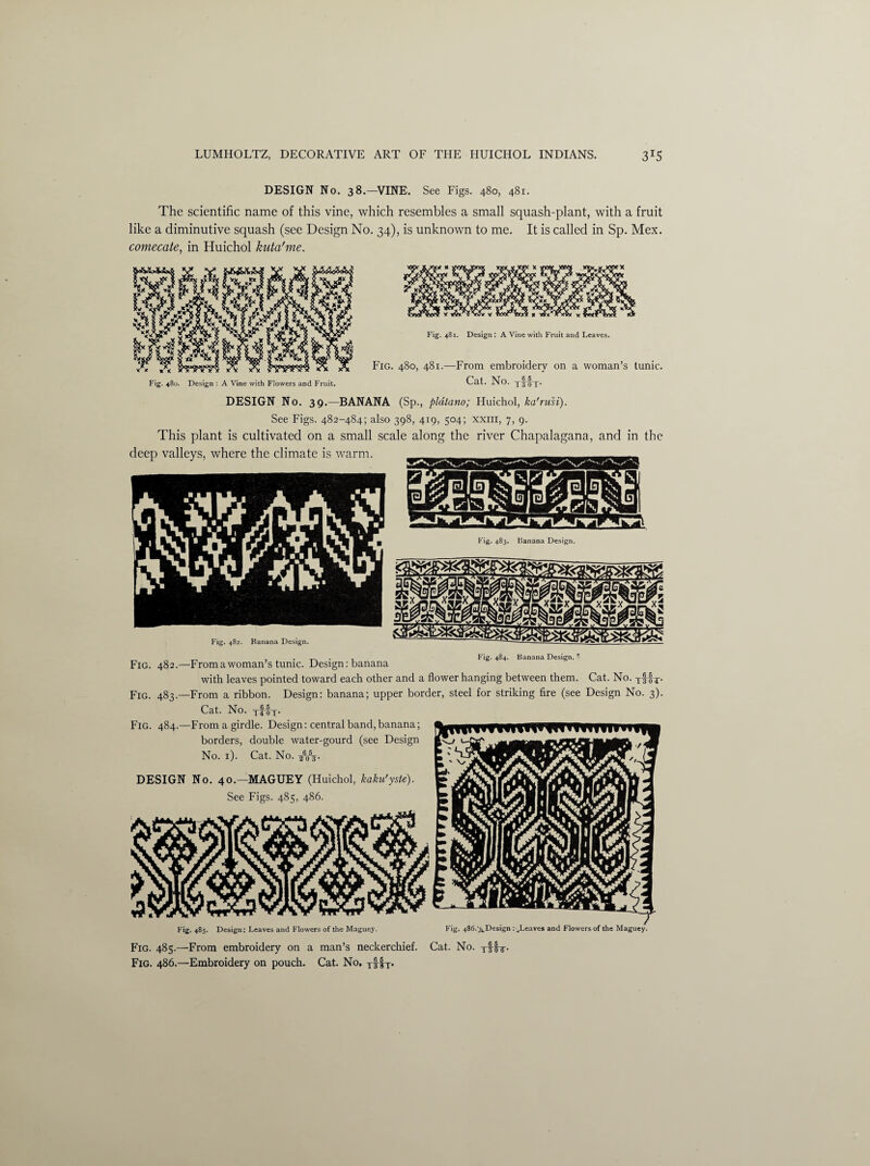 DESIGN No. 38.—VINE. See Figs. 480, 481. The scientific name of this vine, which resembles a small squash-plant, with a fruit like a diminutive squash (see Design No. 34), is unknown to me. It is called in Sp. Mex. comecate, in Huichol kuta'me. DESIGN No. 39.—BANANA (Sp., pldtano; Huichol, ka'rusi). See Figs. 482-484; also 398, 419, 504; xxm, 7, 9. This plant is cultivated on a small scale along the river Chapalagana, and in the . _ . Fig. 484. Banana Design.  Fig. 482.—Fromawomairs tunic. Design: banana with leaves pointed toward each other and a flower hanging between them. Cat. No. r- Fig. 483.—From a ribbon. Design: banana; upper border, steel for striking fire (see Design No. 3). Cat. No. xfoT- Fig. 484.—From a girdle. Design: central band, banana; borders, double water-gourd (see Design No. 1). Cat. No. -^OX- DESIGN No. 40.—MAGUEY (Huichol, kaku'yste). See Figs. 485, 486. Fig- 485- Design: Leaves and Flowers of the Maguey. Fig. 486.^Design : ^Leaves and Flowers of the Maguey. Fig. 485.—From embroidery on a man’s neckerchief. Cat. No. T||x- Fig. 486.—Embroidery on pouch. Cat. No. Tffx.