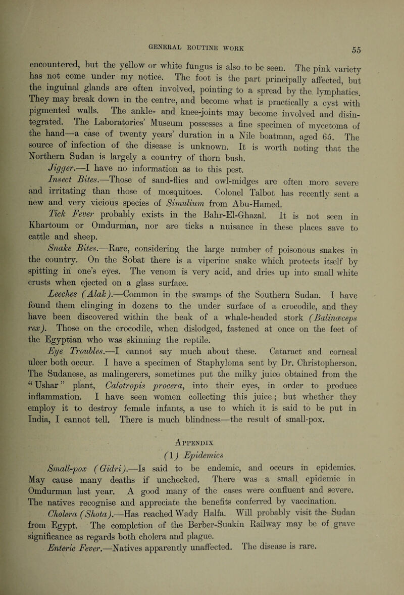 encountered, but the yellow or white fungus is also to be seen. The pink variety has not come under my notice. The foot is the part principally affected, but the inguinal glands are often involved, pointing to a spread by the lymphatics They may break down in the centre, and become what is practically a cyst with pigmented walls. The ankle- and knee-joints may become involved and disin¬ tegrated. The Laboratories’ Museum possesses a fine specimen of mycetoma of the hand a case of twenty years’ duration in a Nile boatman, aged 65. The source of infection of the disease is unknown. It is worth noting that the Northern Sudan is largely a country of thorn bush. Jigger.—I have no information as to this pest. Insect Bites.—Those of sand-flies and owl-midges are often more severe and irritating than those of mosquitoes. Colonel Talbot has recently sent a new and very vicious species of Simulium from Abu-Hamed. Tick Fever probably exists in the Bahr-El-Ghazal. It is not seen in Khartoum or Omdurman, nor are ticks a nuisance in these places save to cattle and sheep. Snake Bites.—Rare, considering the large number of poisonous snakes in the country. On the Sobat there is a viperine snake which protects itself by spitting in one’s eyes. The venom is very acid, and dries up into small white crusts when ejected on a glass surface. Leeches (Alak).—Common in the swamps of the Southern Sudan. I have found them clinging in dozens to the under surface of a crocodile, and they have been discovered within the beak of a whale-headed stork (Balinceceps rex). Those on the crocodile, when dislodged, fastened at once on the feet of the Egyptian who was skinning the reptile. Eye Troubles.—I cannot say much about these. Cataract and corneal ulcer both occur. I have a specimen of Staphyloma sent by Dr. Christopherson. The Sudanese, as malingerers, sometimes put the milky juice obtained from the “ Ushar ” plant, Calotropis procera, into their eyes, in order to produce inflammation. I have seen women collecting this juice; but whether they employ it to destroy female infants, a use to which it is said to be put in India, I cannot tell. There is much blindness—the result of small-pox. A PPENDIX (1) Epidemics Small-pox (Gidri).—Is said to be endemic, and occurs in epidemics. May cause many deaths if unchecked. There was a small epidemic in Omdurman last year. A good many of the cases were confluent and severe. The natives recognise and appreciate the benefits conferred by vaccination. Cholera (ShotaJ.—Has reached Wady Haifa. Will probably visit the Sudan from Egypt. The completion of the Berber-Suakin Railway may be of grave significance as regards both cholera and plague. Enteric Fever.—Natives apparently unaffected. The disease is rare.
