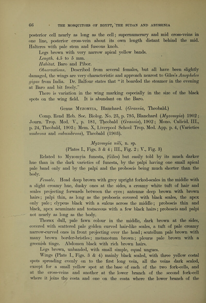 posterior cell nearly as long as the cell; supernumerary and mid cross-veins in one line, posterior cross-vein about its own length distant behind the mid. Halteres with pale stem and fuscous knob. Legs brown with very narrow apical yellow bands. Length. 4.5 to 5 mm. Habitat. Baro and Pibor. Observations. Described from several females, but all have been slightly damaged, the wings are very characteristic and approach nearest to Giles’s Anopheles gigas from India. Dr. Balfour states that “ it boarded the steamer in the evening at Baro and bit freely.” There is variation in the wing marking especially in the size of the black spots on the wing field. It is abundant on the Baro. Genus Myzomyia, Blanchard. (Grassia, Theobald.) Comp. Rend Heb. Soc. Biolog. No. 23, p. 795, Blanchard [Myzomyia) 1902; Journ. Trop. Med. V., p. 181, Theobald [Grassia). 1902; Mono. Culicid. III., p. 24, Theobald, 1903; Mem. X, Liverpool School Trop. Med. App. p. 4, (Varieties umbrosa and subumbrosa), Theobald (1903). Myzomyia nili, n. sp. (Plates I., Figs. 3 & 4 ; III., Fig. 2; V., Fig. 3) Related to Myzomyia funesta, (Giles) but easily told by its much darker hue than in the dark varieties of funesta, by the palpi having one small apical pale band only and by the palpi and the proboscis being much shorter than the bodv. */ Female. Head deep brown with grey upright forked-scales in the middle with a slight creamy hue, dusky ones at the sides, a creamy white tuft of hair and scales projecting forwards between the eyes; antennas deep brown with brown hairs; palpi thin, as long as the proboscis covered with black scales, the apex only pale; clypeus black with a sulcus across the middle; proboscis thin and black, apex acuminate and testaceous with a few black hairs; proboscis and palpi not nearly as long as the body. Thorax dull, pale fawn colour in the middle, dark brown at the sides, covered with scattered pale golden curved hair-like scales, a tuft of pale creamy narrow-curved ones in front projecting over the head; scutellum pale brown with many brown border-bristles; metanotum brown; pleurae pale brown with a greenish tinge. Abdomen black with rich brown hairs. Legs brown, unbanded, with small simple, equal ungues. Wings (Plate I., Figs. 3 & 4) mainly black scaled, with three yellow costal spots spreading evenly on to the first long vein, all the veins dark scaled, except for a small yellow spot at the base of each of the two fork-cells, and at the cross-veins and another at the lower branch of the second fork-cell where it joins the costa and one on the costa where the lower branch of the