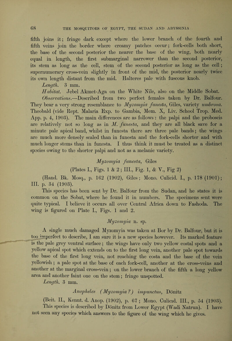 fifth joins it; fringe dark except where the lower branch of the fourth and fifth veins join the border where creamy patches occur; fork-cells both short, the base of the second posterior the nearer the base of the wing, both nearly equal in length, the first submarginal narrower than the second posterior, its stem as long as the cell, stem of the second posterior as long as the cell; supernumerary cross-vein slightly in front of the mid, the posterior nearly twice its own length distant from the mid. Halteres pale with fuscous knob. Length. 3 mm. Habitat. Jebel Akmet-Aga on the White Nile, also on the Middle Sobat. Observations.—Described from two perfect females taken by Dr. Balfour. They bear a very strong resemblance to Myzomyia funesta, Giles, variety umbrosa. Theobald (vide Rept. Malaria Exp. to Gambia, Mem. X, Liv. School Trop. Med. App. p. 4, 1903). The main differences are as follows : the palpi and the proboscis are relatively not so long as in M. funesta, and they are all black save for a minute pale apical band, whilst in funesta there are three pale bands; the wings are much more densely scaled than in funesta and the fork-cells shorter and with much longer stems than in funesta. I thus think it must be treated as a distinct species owing to the shorter palpi and not as a melanic variety. Myzomyia funesta, Giles (Plates I., Figs. 1 & 2 ; III., Fig. 1, & V., Fig 2) (Hand. Bk. Mosq., p. 162 (1902), Giles; Mono. Culicid. I., p. 178 (1901); III. p. 34 (1903). This species has been sent by Dr. Balfour from the Sudan, and he states it is common on the Sobat, where he found it in numbers. The specimens sent were quite typical. I believe it occurs all over Central Africa down to Fashoda. The Aving is figured on Plate I., Figs. 1 and 2. Myzomyia n. sp. A single much damaged Myzomyia was taken at Bor by Dr. Balfour, but it is too imperfect to describe, I am sure it is a new species however. Its marked feature is the pale grey ventral surface; the wings have only two yellow costal spots and a yellow apical spot which extends on to the first long vein, another pale spot towards the base of the first long vein, not reaching the costa and the base of the vein yellowish ; a pale spot at the base of each fork-cell, another at the cross-veins and another at the marginal cross-vein; on the lower branch of the fifth a long yellow area and another faint one on the stem ; fringe unspotted. Length. 3 mm. Anopheles (Myzomyia ?) impunctus, Donitz (Beit. II., Kennt. d. Anop. (1902), p. 67 ; Mono. Culicid. IIP, p. 54 (1903). This species is described by Donitz from Lower Egypt (Wadi Natrun). I have not seen any species which answers to the figure of the wing which he gives.