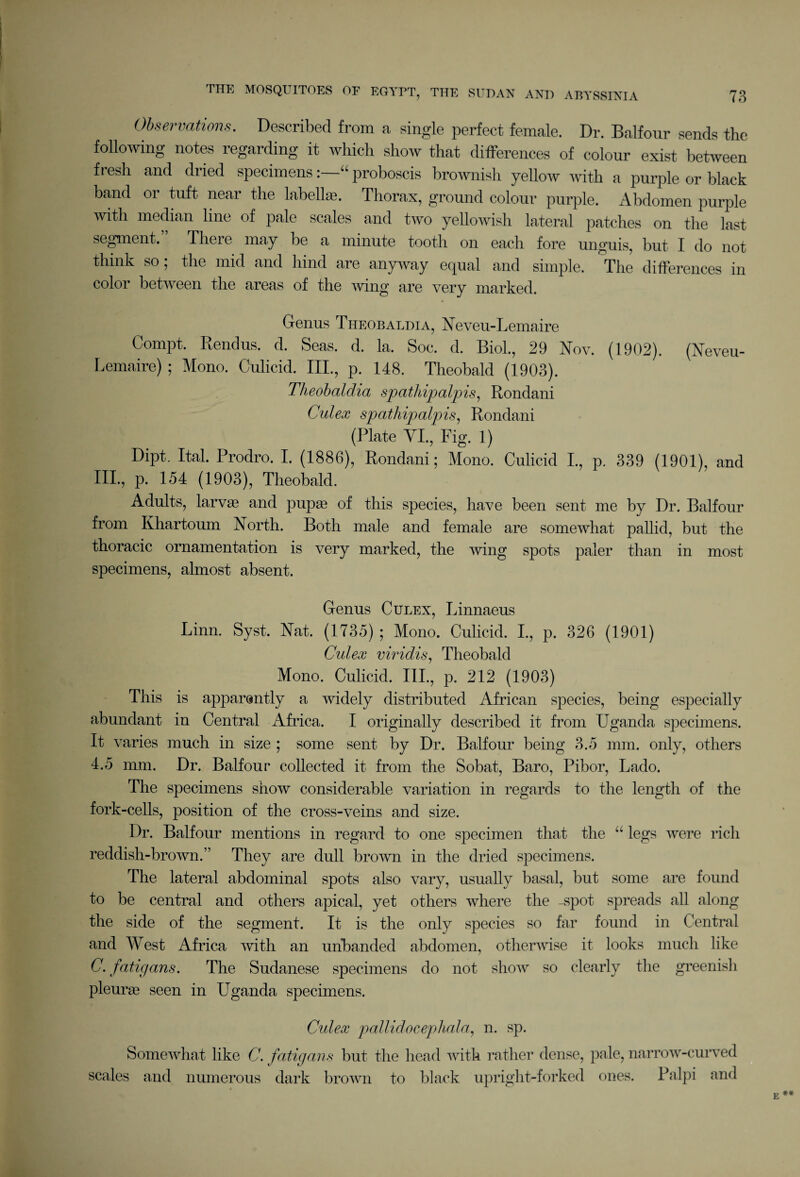 Observations. Described from a single perfect female. Dr. Balfour sends the following notes regarding it which show that differences of colour exist between fresh and dried specimens“ proboscis brownish yellow with a purple or black band or tuft near the labels. Thorax, ground colour purple, xlbdomen purple with median line of pale scales and two yellowish lateral patches on the last segment.” There may be a minute tooth on each fore unguis, but I do not think so; the mid and hind are anyway equal and simple. The differences in color between the areas of the wing are very marked. Genus Theobaldia, Neveu-Lemaire Compt. Rendus. d. Seas. d. la. Soc. d. Biol., 29 Nov. (1902). (Neveu- Lemaire) ; Mono. Culicid. HI., p. 148. Theobald (1903). Theobaldia spathipalpis, Rondani Culex spathipalpis, Rondani (Plate VI., Fig. 1) Dipt. Ital. Prodro. I. (1886), Rondani; Mono. Culicid I., p. 339 (1901), and III., p. 154 (1903), Theobald. Adults, larvffi and pupa3 of this species, have been sent me by Dr. Balfour from Khartoum North. Both male and female are somewhat pallid, but the thoracic ornamentation is very marked, the wing spots paler than in most specimens, almost absent. Genus Culex, Linnaeus Linn. Syst. Nat. (1735) ; Mono. Culicid. I., p. 326 (1901) Culex viridis, Theobald Mono. Culicid. III., p. 212 (1903) This is apparently a widely distributed African species, being especially abundant in Central Africa. I originally described it from Uganda specimens. It varies much in size ; some sent by Dr. Balfour being 3.5 mm. only, others 4.5 mm. Dr. Balfour collected it from the Sobat, Baro, Pibor, Lado. The specimens show considerable variation in regards to the length of the fork-cells, position of the cross-veins and size. Dr. Balfour mentions in regard to one specimen that the “ legs were rich reddish-brown.” They are dull brown in the dried specimens. The lateral abdominal spots also vary, usually basal, but some are found to be central and others apical, yet others where the -spot spreads all along the side of the segment. It is the only species so far found in Central and West Africa with an unbanded abdomen, otherwise it looks much like C. fatigans. The Sudanese specimens do not show so clearly the greenisli pleuras seen in Uganda specimens. Culex pallidocepliala, n. sp. Somewhat like C. fatigans but the head with rather dense, pale, narrow-curved scales and numerous dark brown to black upright-forked ones. Palpi and