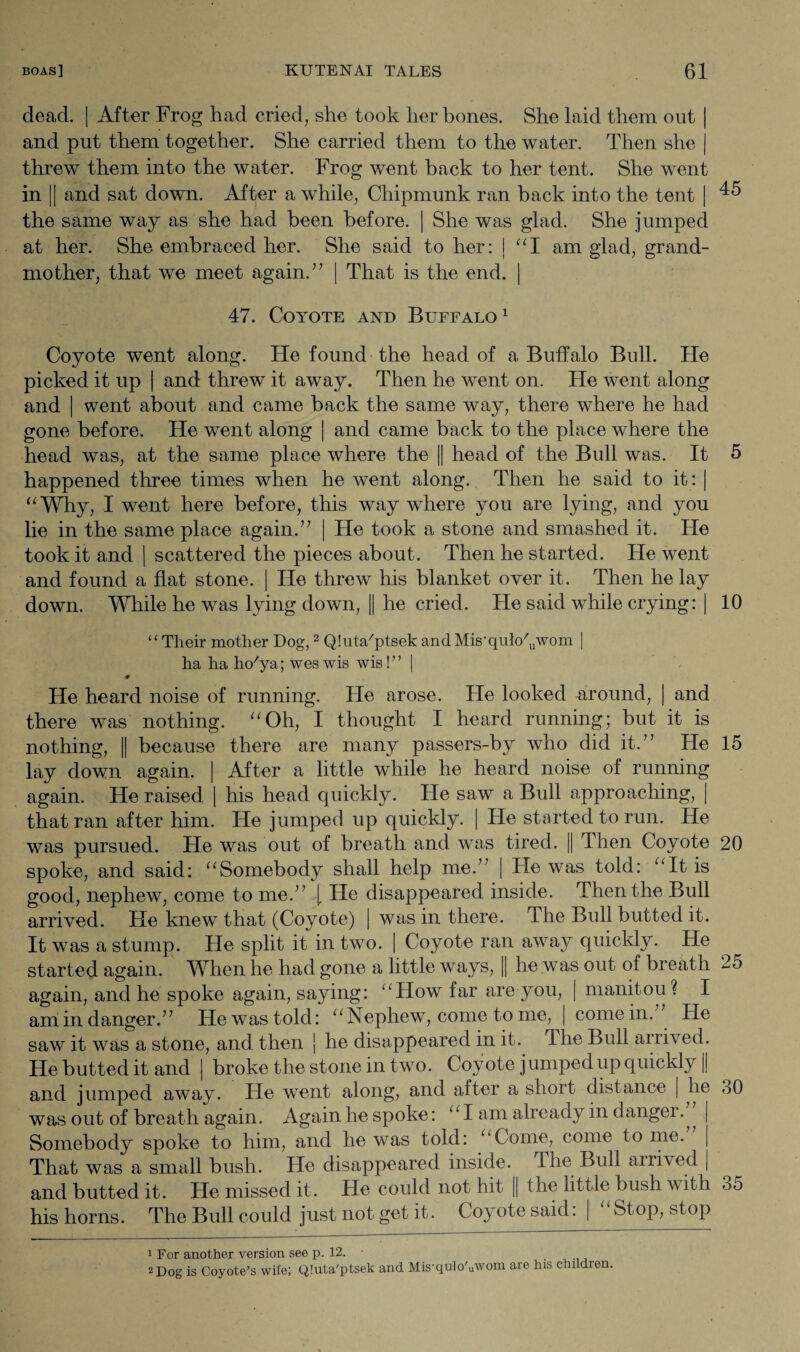 dead. j After Frog had cried, she took her bones. She laid them out | and put them together. She carried them to the water. Then she | threw them into the water. Frog went back to her tent. She went in || and sat down. After a while, Chipmunk ran back into the tent | ^5 the same way as she had been before. | She was glad. She jumped at her. She embraced her. She said to her: | “I am glad, grand¬ mother, that we meet again.” | That is the end. | 47. Coyote and Buffalo 1 Coyote went along. He found the head of a Buffalo Bull. He picked it up | and threw it away. Then he went on. He went along and | went about and came back the same way, there where he had gone before. He went along | and came back to the place where the head was, at the same place where the || head of the Bull was. It 5 happened three times when he went along. Then he said to it : | “Why, I went here before, this way where you are lying, and you lie in the same place again.” | He took a stone and smashed it. He took it and | scattered the pieces about. Then he started. He went and found a flat stone. | He threw his blanket over it. Then he lay down. While he was lying down, || he cried. He said while crying: | 10 “Their mother Dog,2 Qtuta'ptsekandMis‘qulc/,, worn | ha ha ho7ya; wes wis wis!” | 0 He heard noise of running. He arose. He looked around, | and there was nothing. “Oh, I thought I heard running; but it is nothing, || because there are many passers-by who did it.” He 15 lay down again. | After a little while he heard noise of running again. He raised | his head quickly. He saw a Bull approaching, | that ran after him. He jumped up quickly. | He started to run. He was pursued. He was out of breath and was tired. || Then Coyote 20 spoke, and said: “Somebody shall help me.” | He was told: “It is good, nephew, come to me.” [ He disappeared inside. Then the Bull arrived. He knew that (Coyote) | was in there. The Bull butted it. It was a stump. He split it in two. | Coyote ran away quickly. He started again. When he had gone a little ways, || he was out of breath 25 again, and he spoke again, saying: “How far are you, | manitou ? I amin danger.” He was told: “Nephew, come to me, | come in.” He saw it was a stone, and then j he disappeared in it. 'llie Bull arrived. He butted it and j broke the stone in two. Coyote jumped up quickly |j and jumped away. He went along, and after a short distance ( he 30 was out of breath again. Again he spoke: “I am already in danger. ^ | Somebody spoke to him, and he was told: “Come, come to me. | That was a small bush. He disappeared inside. The Bull arii\ed | and butted it. He missed it. He could not hit || the little bush with o5 his horns. The Bull could just not get it. C oyote said. | Stop, stop 1 For another version see p. 12. . 2 Dog is Coyote’s wife; Qluta'ptsek and M.is’quio'uWom are his childien.