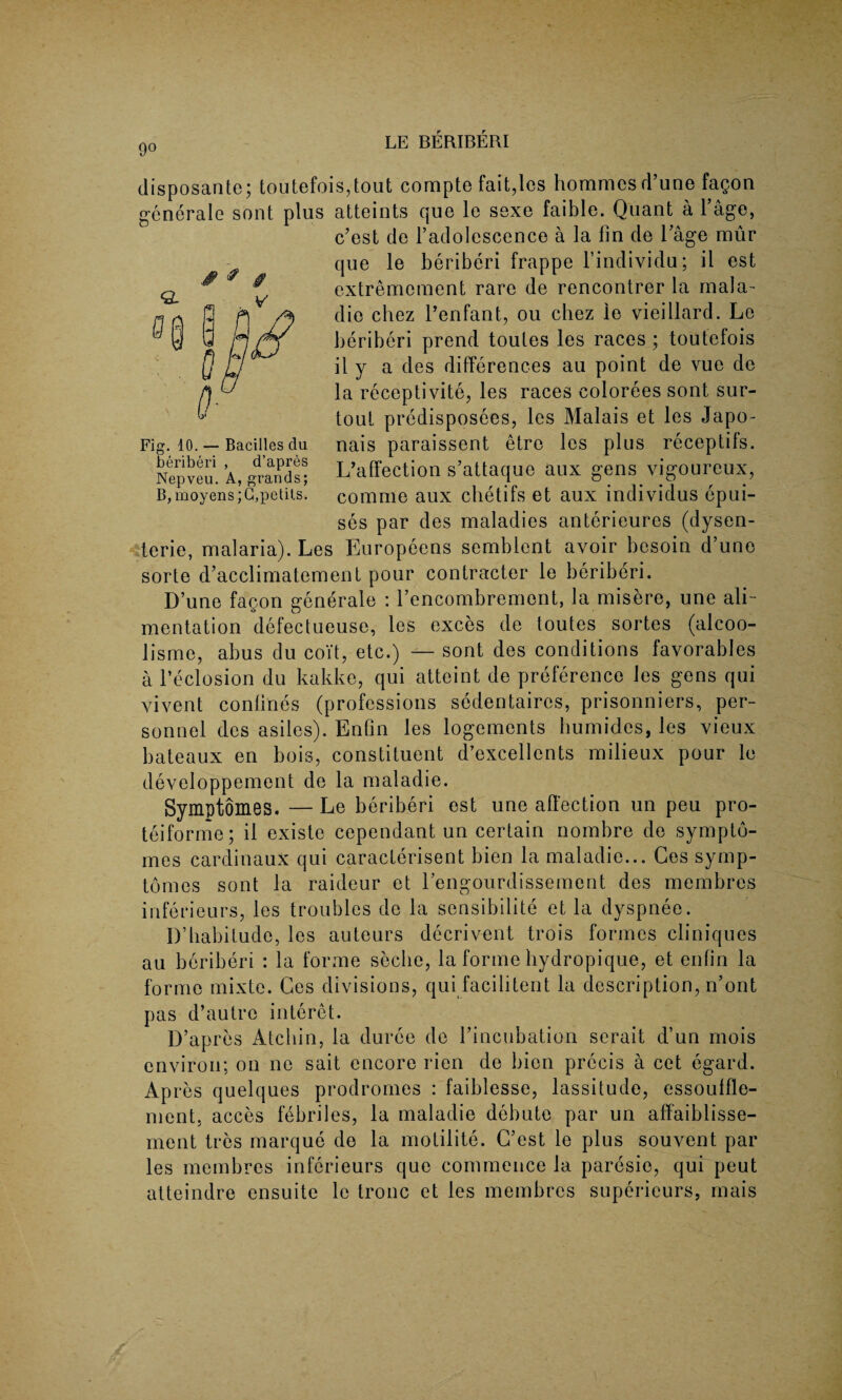 9° disposante; toutefois,tout compte fait,lcs hommcsd’une fagon generale sont plus atteints que le sexe faible. Quant a l’age, c’est de l’adolescence a la fin de 1 age mur que le beriberi frappe l’individu; ii est cxtremcment rare de rencontrer la mala- die chez l’enfant, ou cliez le vieiHard. Le beriberi prend toules les races ; toutefois il y a des differences au point de vue de la receptivite, les races eolorees sont sur- tout predisposees, les Malais et les Japo- nais paraissent etro les plus receptifs. L’affection s’attaque aux gens vigoureux, comme aux chetifs et aux individus epui- ses par des maladies anterieures (dysen¬ teric, malaria). Les Europeens scmblent avoir besoin d’une sorte d’acclimatement pour contracter le beriberi. Dune fagon generate : l’encombrement, la misere, une ali¬ mentation defectueuse, les exces de toutes sortes (alcoo- lisme, abus du coit, etc.) — sont des conditions favorables a l’eclosion du kakke, qui atteint de preference les gens qui vivent coniines (professions sedentaires, prisonniers, per¬ sonnel des asiles). Enfin les logements humides, les vieux bateaux en bois, constituent d’excellcnts milieux pour le developpement de la maladie. Symptomes. — Le beriberi est une affection un peu pro- teiforme; il existe cependant un certain nombre de sympto¬ mes cardinaux qui caracterisent bien la maladie... Cos symp¬ tomes sont la raideur et Eengourdissement des membres inferieurs, les troubles de la sensibilite et la dyspnee. D’babitude, les auteurs decrivent trois formes cliniques au beriberi : la forme seclie, la forme hydropique, et enlin la forme mixte. Ces divisions, qui facilitent la description, n’ont pas d’autre interet. D’apres Atcliin, la duree de I’incubation serait d’un mois environ; on no sait encore rien de bien precis a cet egard. AP res quelques prodromes : faiblesse, lassitude, essoulfle- ment, acces febriles, la maladie debute par un affaiblisse- ment tres marque de la motilite. G’est le plus souvent par les membres inferieurs que commence la paresie, qui peut atteindre ensuite le tronc et les membres superieurs, mais Fig. 10. — Bacilles clu beriberi , d’apres Nepveu. A, grands; B,moyens;G, petits.