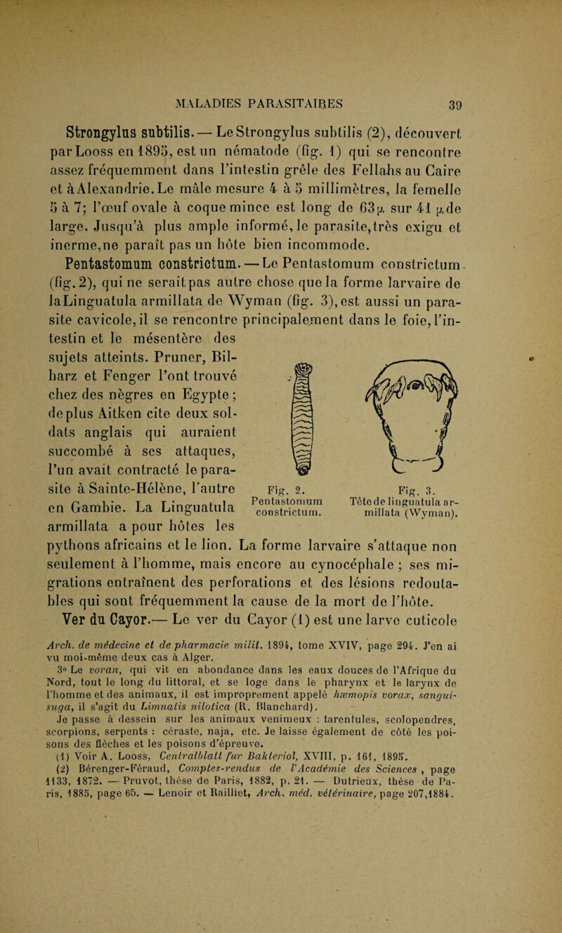 Strongylus snbtilis. — LeStrongylus subtilis (2), decouvert parLooss en 1893, est un nematode (fig. 1) qui se rencontre assez frequemment dans l’intestin grele des Fellahs au Gaire et aAlexandrie. Le male mesure 4 a 5 millimetres, la femelle 5 a 7; l’oeuf ovale a coque mince est long de G3p. sur 41 p.de large. Jusqu’a plus ample informe, le parasite,tres exigu ot inerme,ne parait pas un hote bien incommode. Pentastomum constrictum.— Le Pentastomum constrictum. (fig. 2), qui ne seraitpas autre chose quo la forme larvaire de laLinguatula armillata de Wyman (fig. 3), est aussi un para¬ site cavicole,il se rencontre principalejnent dans le foie, Pin- testin et le mesentere des sujets atteints. Pruner, Bil- harz et Fenger Pont trouve chez des negres en Egypte; deplus Aitken cite deux sol- dats anglais qui auraient succombe a ses attaques, Pun avait contracte le para¬ site a Sainte-Helene, Pautre en Gambie. La Linguatula armillata a pour holes les pythons africains et le lion. La forme larvaire s’attaque non seulement a l’homme, mais encore au cynocephale ; ses mi¬ grations entrainent des perforations et des lesions redouta- bles qui sont frequemment la cause de la mort de Phote. Ver du Cayor.— Le ver du Cayor (1) est une larve cuticole Arch, de medecine et de pharmacie milit. 1894, tome XVIV, page 294. J’en ai vu moi-meme deux cas a Alger. 3° Le voran, qui vit en abondance dans les eaux douces de l’Afrique du Nord, tout le long du littoral, et se loge dans le pharynx et le larynx de rhomme et des animaux, il est improprement appele hsemopis vorax, sangni- sugci, il s’agit du Limnatis nilotica (R. Blanchard). Je passe a dessein sur les animaux venimeux : tarenfules, scolopendres, scorpions, serpents : ceraste, naja, etc. Je laisse egalement de c6te les poi¬ sons des fleches et les poisons d’epreuve. (1) Voir A. Looss, Centralblatt fur Bakteriol, XVIII, p. 161, 18914. (2) Berenger-Feraud, Comptes-rendus de VAcademie des Sciences , page 1133, 4872. —Pruvot, these de Paris, 1882, p. 21. — Dutrieox, these de Pa¬ ris, 1885, page 65. — Lenoir et Railliet, Arch. med. vdlerinaire, page 207,4884. constrictum. millata (Wyman).