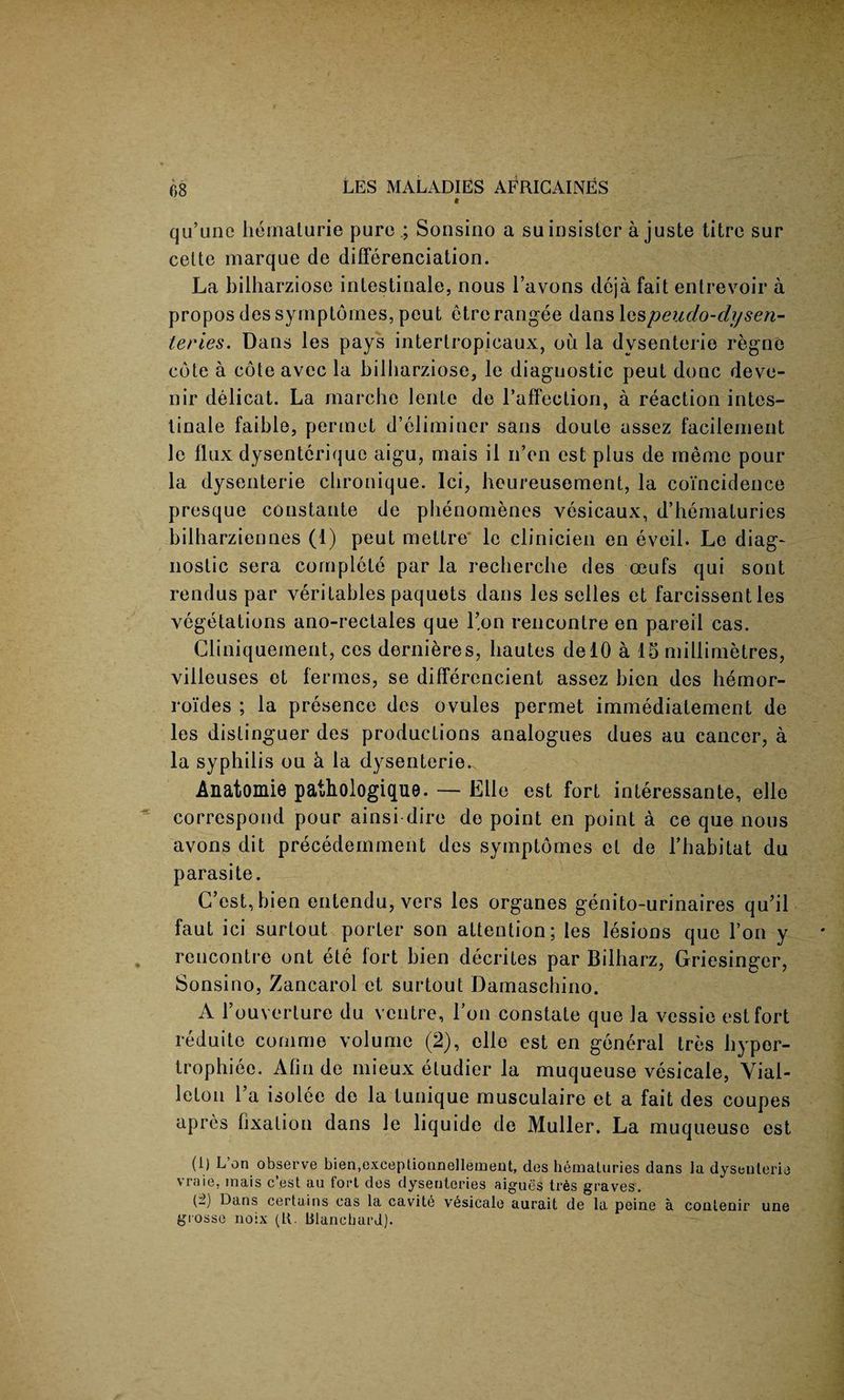 t qu’une hematurie pure ; Sonsino a su insister a juste titrc sur celte marque de differenciation. La bilharziose intestioale, nous 1’avons deja fait entrevoir a propos dessymptomes, peut et re ran gee dans les peudo-dysen- teries. Dans les pays intertropicaux, ou la dvsenterie regne cote a cote avec la bilharziose, le diagnostic peut done deve- nir delicat. La marche Jente de l'affection, a reaction intes- tinale faible, permet d’eliminer sans doute assez facilernent le flux dysenterique aigu, mais il n’en est plus de memo pour la dysenterie ebronique. Ici, heureusement, la coincidence presque constante de phenomenes vesicaux, d’hematuries bilharziennes (1) peut mettre* le clinicien en eveil. Le diag¬ nostic sera complete par la recherche des ceufs qui sont rendus par veritables paquets dans les selles et farcissent les vegetations ano-rectales que l’on rencontre en pared cas. Cliniquement, ces dernieres, liautes delO a IS millimetres, villeuses et fermes, se differcncient assez bicn des hernor- roi'des ; la presence des ovules permet immediatement de les distinguer des productions analogues dues au cancer, a la syphilis ou k la dysenterie.. Anatomie pathologique. — Elle est fort interessante, elle correspond pour ainsi dire de point en point a ce que nous avons dit precedemment des symptomes et de Tbabitat du parasite. C’est, bien entendu, vers les organes genito-urinaires qu’il faut ici surtout porter son attention; les lesions que Ton y rencontre ont ete fort bien decrites par Bilharz, Griesinger, Sonsino, Zancarol et surtout Damaschino. A l’ouverture du ventre, Ton constate que la vessie est fort reduite corn me volume (2), elle est en general tres hypor- trophiee. Afin de mieux etudier la muqueuse vesicale, Yial- leton I’a isolee de la lunique musculaire et a fait des coupes apres fixation dans le liquide de Muller. La muqueuse est (i) L on observe bien,exceplionne]lement, des hematuries dans la dysenterie vraie, mais e’est au fort des dysenteries aigues lr6s graves. (-) Dans certains cas la cavite vesicale aurait de la peine a contenir une grosse noix (R. Blanchard.).