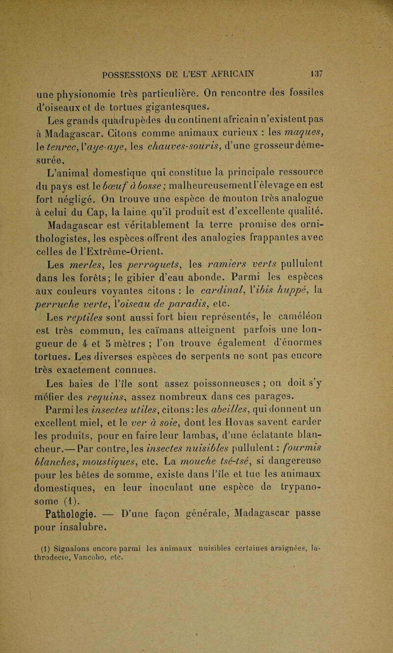 line physionomie tres particuliere. On rencontre des fossiles d’oiseauxet do tortues gigantesques. Les grands quadrupedes du continent atricain n’existent pas a Madagascar. Gitons comme animaux curienx : les maques, le tenrec,Vaye-aye, les chauves-souris, d une grosseur deme- suree. L’animal domestique qui constitue la principale ressource du pays est 1 ebceuf dbosse; malheureusementPelevageen est fort neglige. On trouve uno espece de tnouton tres analogue a celui du Cap, la laine qu’il produit est d’excellente qualite. Madagascar est veritablement la terre promise des orni- thologistes, les especes offrent des analogies frappantes avec celles de l’Extreme-Orient. Les merles, les perroquets, les ramiers verts pullulent dans les forets; le gibier d’eau abonde. Parmi les especes aux couleurs voyantes citons : le cardinal, Vibis huppe, la perruche verte, Yoiseau de paradis, etc. Les reptiles sont aussi fort bien representes, le cameleon est tres commun, les caimans atteignent parlois line lon¬ gueur de 4 et 5 metres ; Ton trouve egalement d’enormes tortues. Les diverses especes de serpents ne sont pas encore tres exactement connues. Les baies de Pile sont assez poissonneuses ; on doit s’y mefier des requins, assez nombreux dans ces parages. Parmi les insectes utiles, citons: les abeilles, quidonnent un excellent miel, et le ver a sole, dont les Hovas savent carder les produits, pour en fairoleur lambas, d’une eclatante blan- cheur.— Par contre,les insectes nuisibles pullulent: fourmis blanches, moustiques, etc. La mouche tse-tse, si dangereuse pour les betes de somme, existe dans Pile et tue les animaux domestiques, en leur inoculant une espece de trypano¬ some (1). Pathologie. — D’une fagon generale, Madagascar passe pour insalubre. (1) Signalons encore parmi les animaux nuisibles certaines araignees, la- throdecie, Vancoho, etc.