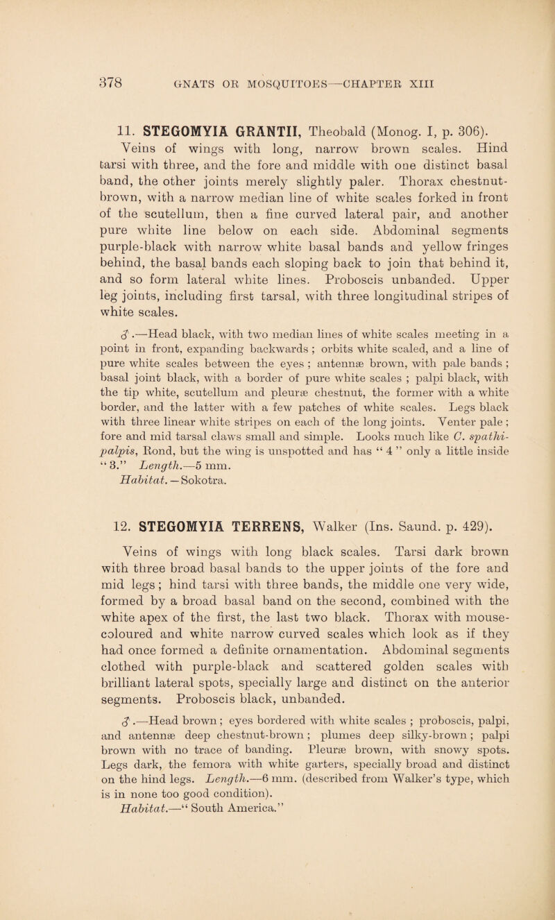 11. STEGOMYIA GRANTII, Theobald (Monog. I, p. 306). Veins of wings with long, narrow brown scales. Hind tarsi with three, and the fore and middle with one distinct basal band, the other joints merely slightly paler. Thorax chestnut- brown, with a narrow median line of white scales forked in front of the scutellum, then a fine curved lateral pair, and another pure white line below on each side. Abdominal segments purple-black with narrow white basal bands and yellow fringes behind, the basal bands each sloping back to join that behind it, and so form lateral white lines. Proboscis unbanded. Upper leg joints, including first tarsal, with three longitudinal stripes of white scales. cf.—Head black, with two median lines of white scales meeting in a point in front, expanding backwards ; orbits white scaled, and a line of pure white scales between the eyes ; antennas brown, with pale bands ; basal joint black, with a border of pure white scales ; palpi black, with the tip white, scutellum and pleurae chestnut, the former with a white border, and the latter with a few patches of white scales. Legs black with three linear white stripes on each of the long joints. Venter pale ; fore and mid tarsal claws small and simple. Looks much like C. spatlii- palpis, Rond, but the wing is unspotted and has “ 4 ” only a little inside “3.” Length.—5 mm. Habitat. — Sokotra. 12. STEGOMYIA TERRENS, Walker (Ins. Saund. p. 429). Veins of wings with long black scales. Tarsi dark brown with three broad basal bands to the upper joints of the fore and mid legs; hind tarsi with three bands, the middle one very wide, formed by a broad basal band on the second, combined with the white apex of the first, the last two black. Thorax with mouse- coloured and white narrow curved scales which look as if they had once formed a definite ornamentation. Abdominal segments clothed with purple-black and scattered golden scales with brilliant lateral spots, specially large and distinct on the anterior segments. Proboscis black, unbanded. £.—Head brown ; eyes bordered with white scales ; proboscis, palpi, and antennae deep chestnut-brown; plumes deep silky-brown; palpi brown with no trace of banding. Pleurae brown, with snowy spots. Legs dark, the femora with white garters, specially broad and distinct on the hind legs. Length.—6 mm. (described from Walker’s type, which is in none too good condition). Habitat.—“ South America.”