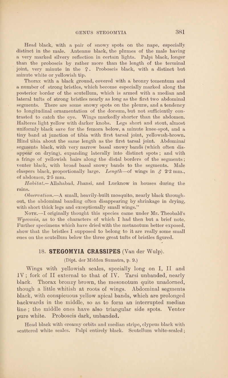 Head black, with a pair of snowy spots on the nape, especially distinct in the male. Antennae black, the plumes of the male having a very marked silvery reflection in certain lights. Palpi black, longer than the proboscis by rather more than the length of the terminal joint, very minute in the 5 . Proboscis black, with a distinct but minute white or yellowish tip. Thorax with a black ground, covered with a bronzy tomentum and a number of strong bristles, which become especially marked along the posterior border of the scutellum, which is armed with a median and lateral tufts of strong bristles nearly as long as the first two abdominal segments. There are some snowy spots on the pleurae, and a tendency to longitudinal ornamentation of the dorsum, but not sufficiently con¬ trasted to catch the eye. Wings markedly shorter than the abdomen. Halteres light yellow with darker knobs. Legs short and stout, almost uniformly black save for the femora below, a minute knee-spot, and a tiny band at junction of tibia with first tarsal joint, yellowish-brown. Hind tibia about the same length as the first tarsal joint. Abdominal segments black, with very narrow basal snowy bands (which often dis¬ appear on drying), expanding laterally into distinct spots ; and with a fringe of yellowish hairs along the distal borders of the segments; venter black, with broad basal snowy bands to the segments. Male claspers black, proportionally large. Length—of wings in A 2'2 mm., of abdomen, 2*5 mm. Habitat.— Allahabad, Jhansi, and Lucknow in houses during the rains. Observation.—A small, heavily-built mosquito, nearly black through¬ out, the abdominal banding often disappearing by shrinkage in drying, with short thick legs and exceptionally small wings.” Note.—I originally thought this species came under Mr. Theobald’s Wyeomia, as to the characters of which I had then but a brief note. Further specimens which have dried with the metanotum better exposed, show that the bristles I supposed to belong to it are really some small ones on the scutellum below the three great tufts of bristles figured. 18. STEGOMYIA CRASSIPES (Van der Wulp). (Dipt, der Midden Sumatra, p. 9.) Wings with yellowish scales, specially long on I, II and IV ; fork of II external to that of IV. Tarsi unbanded, nearly black. Thorax bronzy brown, the mesonotum quite unadorned, though a little whitish at roots of wings. Abdominal segments black, with conspicuous yellow apical bands, which are prolonged backwards in the middle, so as to form an interrupted median line ; the middle ones have also triangular side spots. Venter pure white. Proboscis dark, unbanded. Head black with creamy orbits and median stripe, clypeus black with scattered white scales. Palpi entirely black. Scutellum wdiite-scaled;