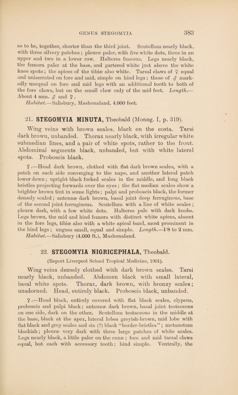 as to be, together, shorter than the third joint. Scutelhnn nearly black, with three silvery patches ; pleurae paler, with five white dots, three in an upper and two in a lower row. Halteres fuscous. Legs nearly black, the femora paler at the base, and gartered white just above the white knee spots ; the apices of the tibiae also white. Tarsal claws of ? equal and uniserrated on fore and mid, simple on hind legs ; those of $ mark¬ edly unequal on fore and mid legs with an additional tooth to both of the fore claws, but on the small claw only of the mid feet. Length.— About 4 mm. A and 2 . Habitat.— Salisbury, Mashonaland, 4,000 feet. 21. STEGOMYIA MINUTA, Theobald (Monog. I, p. 319). Wing veins with brown scales, black on the costa. Tarsi dark brown, unhanded. Thorax nearly black, with irregular while submedian lines, and a pair of white spots, rather to the front. Abdominal segments black, unbanded, but with white lateral spots. Proboscis black. $ .—Head dark brown, clothed with flat dark brown scales, with a patch on each side converging to the nape, and another lateral patch lower down; upright black forked scales in the middle, and long black bristles projecting forwards over the eyes ; the fiat median scales show a brighter brown tint in some lights ; palpi and proboscis black, the former densely scaled ; antennae dark brown, basal joint deep ferruginous, base of the second joint ferruginous. Scutellum with a line of white scales ; pleurae dark, with a few white dots. Halteres pale with dark knobs. Legs brown, the mid and hind femora with distinct white apices, absent in the fore legs, tibiae also with a white apical band, most prominent in the hind legs ; ungues small, equal and simple. Length.—1'8 to 2 mm. Habitat.—Salisbury (4,000 ft.), Mashonaland. 22. STEGOMYIA NIGRICEPHALA, Theobald. (Report Liverpool School Tropical Medicine, 1901). Wing veins densely clothed with dark brown scales. Tarsi nearly black, unhanded. Abdomen black with small lateral, basal white spots. Thorax, dark brown, with bronzy scales; unadorned. Head, entirely black. Proboscis black, unbanded. 2 •—Head black, entirely covered with fiat black scales, clypeus, proboscis and palpi black; antennae dark brown, basal joint testaceous on one side, dark on the other. Scutellum testaceous in the middle at the base, black at the apex, lateral lobes greyish-brown, mid lobe with fiat black and grey scales and six (?) black “border-bristles” ; metanotum blackish; pleurae very dark with three large patches of white scales. Legs nearly black, a little paler on the coxae ; fore and mid tarsal claws equal, but each with accessory tooth; hind simple. Yentrally, the