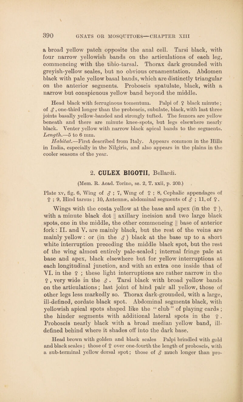 a broad yellow patch opposite the anal cell. Tarsi black, with four narrow yellowish bands on the articulations of each leg, commencing with the tibio-tarsal. Thorax dark grounded with greyish-yellow scales, but no obvious ornamentation. Abdomen black with pale yellow basal bands, which are distinctly triangular on the anterior segments. Proboscis spatulate, black, with a narrow but conspicuous yellow band beyond the middle. Head black with ferruginous tomentum. Palpi of 5 black minute ; of $, one-third longer than the proboscis, subulate, black, with last three joints basally yellow-banded and strongly tufted. The femora are yellow beneath and there are minute knee-spots, but legs elsewhere nearly black. Venter yellow with narrow black apical bands to the segments. Length.—5 to 6 mm. Habitat.—First described from Italy. Appears common in the Hills in India, especially in the Nilgiris, and also appears in the plains in the cooler seasons of the year. 2. CXJLEX BIGOTII, Bellardi. (Mem. R. Acad. Torino, se. 2, T. xxii, p. 200.) Plate xv, fig. 6, Wing of $■ ; 7, Wmg of $ ; 8, Cephalic appendages of 2 ; 9, Hind tarsus ; 10, Antennae, abdominal segments of $ ; 11, of 2 . Wings with the costa yellow at the base and apex (in the 2 ), with a minute black dot || axillary incision and two large black spots, one in the middle, the other commencing || base of anterior fork: II. and V. are mainly black, but the rest of the veins are mainly yellow : or (in the $) black at the base up to a short white interruption preceding the middle black spot, but the rest of the wing almost entirely pale-scaled; internal fringe pale at base and apex, black elsewhere but for yellow interruptions at each longitudinal junction, and with an extra one inside that of VI. in the 2 ; these light interruptions are rather narrow in the 2 , very wide in the . Tarsi black with broad yellow bands on the articulations; last joint of hind pair all yellow, those of other legs less markedly so. Thorax dark-grounded, with a large, ill-defined, cordate black spot. Abdominal segments black, with yellowish apical spots shaped like the “club” of playing cards ; the hinder segments with additional lateral spots in the 2 • Proboscis nearly black with a broad median yellow band, ill- defined behind where it shades off into the dark base. Head brown with golden and black scales Palpi brindled with gold and black scales ; those of 2 over one-fourth the length of proboscis, with a sub-terminal yellow dorsal spot; those of much longer than pro-