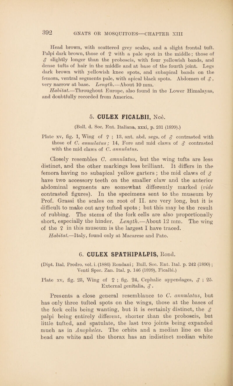 Head brown, with scattered grey scales, and a slight frontal tuft. Palpi dark brown, those of $ with a pale spot in the middle; those of $ slightly longer than the proboscis, with four yellowish bands, and dense tufts of hair in the middle and at base of the fourth joint. Legs dark brown with yellowish knee spots, and subapical bands on the femora, ventral segments pale, with apical black spots. Abdomen of $, very narrow at base. Length.—About 10 mm. Habitat.—Throughout Europe, also found in the Lower Himalayas, and doubtfully recorded from America. 5. CULEX FICALBII, Hoe. (Boll. d. Soc. Ent. Italiana, xxxi, p. 231 (1899).) Plate xv, fig. 1, Wing of ? ; 13, ant. abd. segs. of A contrasted with those of C. annulatus; 14, Fore and mid claws of A contrasted with the mid claws of C. annulatus. Closely resembles G. annulatus, but the wing tufts are less distinct, and the other markings less brilliant. It differs in the femora having no subapical yellow garters ; the mid claws of A have two accessory teeth on the smaller claw and the anterior abdominal segments are somewhat differently marked (vide contrasted figures). In the specimens sent to the museum by Prof. Grassi the scales on root of II. are very long, but it is difficult to make out any tufted spots ; but this may be the result of rubbing. The stems of the fork cells are also proportionally short, especially the hinder. Length.—About 12 mm. The wing of the $ in this museum is the largest I have traced. Habitat.—Italy, found only at Macarese and Pato. 6. CULEX SPATHIPALPIS, Eond. (Dipt. Ital. Prodro. vol. i. (1886) Rondani; Bull. Soc. Ent. Ital. p. 242 (1890) ; Yenti Spec. Zan. Ital. p. 146 (1899), Ficalbi.) Plate xv, fig. 23, Wing of $ ; fig. 24, Cephalic appendages, $ ; 25. External genitalia, $•. Presents a close general resemblance to C. annulatus, but has only three tufted spots on the wings, those at the bases of the fork cells being wanting, but it is certainly distinct, the $ palpi being entirely different, shorter than the proboscis, but little tufted, and spatulate, the last two joints being expanded much as in Anopheles. The orbits and a median line on the bead are white and the thorax has an indistinct median white