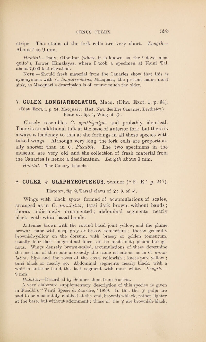 stripe. The stems of the fork cells are very short. Length— About 7 to 9 mm. Habitat.—Italy, Gibraltar (where it is known as the “ dove mos¬ quito”), Lower Himalayas, where I took a specimen at Naini Tal, about 7,000 feet elevation. Note.—Should fresh material from the Canaries show that this is synonymous with C. longiareolatus, Macquart, the present name must sink, as Macquart’s description is of course much the older. 7. CULEX LONGIAREOLATUS, Macq. (Dipt. Exot. I, p. 34). (Dipt. Exot. i, p. 84, Macquart; Hist. Nat. des lies Canaries, Berthelot.) Plate xv, fig. 4, Wing of $. Closely resembles C. spathipalpis and probably identical. There is an additional tuft at the base of anterior fork, but there is always a tendency to this at the forkings in all these species with tufted wings. Although very long, the fork cells are proportion¬ ally shorter than in G. Ficalbii. The two specimens in the museum are very old and the collection of fresh material from the Canaries is hence a desideratum. Length about 9 mm. Habitat.—The Canary Islands. 8. CULEX A GLAPHYROPTERUS, Schiner (“ E. R.” p. 247). Plate xv, fig. 2, Tarsal claws of 5 ; 3, of A • Wings with black spots formed of accumulations of scales, arranged as in G. annulatus ; tarsi dark brown, without bands ; thorax indistinctly ornamented; abdominal segments nearly black, with white basal bands. Antennae brown with the rotund basal joint yellow, and the plume brown; nape with deep grey or brassy tomentum ; thorax generally brownish-yellow on the dorsum, with brassy or golden tomentum, usually four dark longitudinal lines can be made out; pleurae ferrugi¬ nous. Wings densely brown-scaled, accumulations of these determine the position of the spots in exactly the same situations as in C. annu¬ latus ; hips and the roots of the coxae yellowish ; knees pure yellow ; tarsi black or nearly so. Abdominal segments nearly black, with a whitish anterior band, the last segment with most white. Length.— 9 mm. Habitat.—Described by Schiner alone from Austria. A very elaborate supplementary description of this species is given in Ficalbi’s “ Yenti Specie di Zanzare,” 1899. In this the $ palpi are said to be moderately clubbed at the end, brownish-black, rather lighter at the base, but without adornment; those of the 7 are brownish-black,