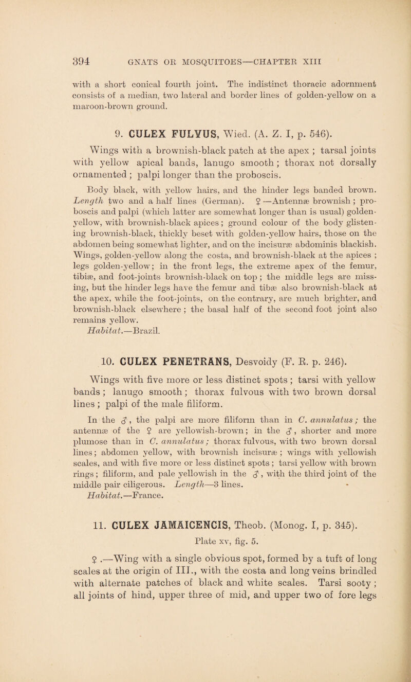 with a short conical fourth joint. The indistinct thoracic adornment consists of a median, two lateral and border lines of golden-yellow on a maroon-brown ground. 9. CULEX FULYUS, Wied. (A. Z. I, p. 546). Wings with a brownish-black patch at the apex ; tarsal joints with yellow apical bands, lanugo smooth ; thorax not dorsally ornamented ; palpi longer than the proboscis. Body black, with yellow hairs, and the hinder legs banded brown. Length two and a half lines (German). $—Antennae brownish ; pro¬ boscis and palpi (which latter are somewhat longer than is usual) golden- yellow, with brownish-black apices; ground colour of the body glisten¬ ing brownish-black, thickly beset with golden-yellow hairs, those on the abdomen being somewhat lighter, and on the incisurae abdominis blackish. Wings, golden-yellow along the costa, and brownish-black at the apices ; legs golden-yellow; in the front legs, the extreme apex of the femur, tibiae, and foot-joints brownish-black on top ; the middle legs are miss¬ ing, but the hinder legs have the femur and tibae also brownish-black at the apex, while the foot-joints, on the contrary, are much brighter, and brownish-black elsewhere ; the basal half of the second foot joint also remains yellow. Habitat.—Brazil. 10. CULEX PENETRANS, Desvoidy (F. R. p. 246). Wings with five more or less distinct spots ; tarsi with yellow bands ; lanugo smooth; thorax fulvous with two brown dorsal lines ; palpi of the male filiform. In the d, the palpi are more filiform than in C. annulatas; the antennae of the 5 are yellowish-brown; in the $, shorter and more plumose than in G.annulatus; thorax fulvous, with two brown dorsal lines; abdomen yellow, with brownish incisurae ; wings with yellowish scales, and with five more or less distinct spots ; tarsi yellow with brown rings ; filiform, and pale yellowish in the £, with the third joint of the middle pair ciligerous. Length—3 lines. Habitat.—France. 11. CULEX JAMAICENCIS, Theob. (Monog. I, p. 345). Plate xv, fig. 5. 2 .—Wing with a single obvious spot, formed by a tuft of long scales at the origin of III., with the costa and long veins brindled with alternate patches of black and white scales. Tarsi sooty ; all joints of hind, upper three of mid, and upper two of fore legs