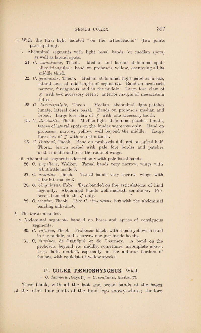 y. With the tarsi light banded “on the articulations” (two joints participating). i. Abdominal segments with light basal bands (or median spots) as well as lateral spots. 21. C. annulioris, Theob. Median and lateral abdominal spots alike triangular ; band on proboscis yellow, occupying all its middle third. 22. C. plumosus, Theob. Median abdominal light patches lunate, lateral ones at mid-length of segments. Band on proboscis narrow, ferruginous, and in the middle. Large fore claw of A with two accessory teeth ; anterior margin of mesonotum tufted. 23. C. hirsutipalpis, Theob. Median abdominal light patches lunate, lateral ones basal. Bands on proboscis median and broad. Large fore claw of A with one accessory tooth. 24. C. dissimilis, Theob. Median light abdominal patches lunate, traces of lateral spots on the hinder segments only. Band on proboscis, narrow, yellow, well beyond the middle. Large fore-claw of £ with an extra tooth. 25. C. Duttoni, Theob. Band on proboscis dull red on apical half. Thorax brown scaled with pale fore border and patches in the middle and over the roots of wings. iii. Abdominal segments adorned only with pale basal bands. 26. C. impellens, Walker. Tarsal bands very narrow, wings with 4 but little inside 8. 27. G. annulus, Theob. Tarsal bands very narrow, wings with 4 far internal to 3. 28. C. cingulatus, Fabr. Tarsi banded on the articulations of hind legs only. Abdominal bands well-marked, semilunar. Pro¬ boscis banded in the £ only. * 29. C. secutor, Theob. Like C. cingulatus, but with the abdominal banding indistinct. 5. The tarsi unbanded. v. Abdominal segments banded on bases and apices of contiguous segments. 30. C. infulus, Theob. Proboscis black, with a pale yellowish band in the middle, and a narrow one just inside its tip. 31. C. tigripes, de Grandpre et de Charmoy. A band on the proboscis beyond its middle, sometimes incomplete above. Legs dark, marked, especially on the anterior borders of femora, with equidistant yellow specks. 12. CULEX T7ENIORHYNCHU8, Wied. = C. davmosus, Says (?) = G. confmnis, Arribal (?). Tarsi black, with all the last and broad bands at the bases of the other four joints of the hind legs snowy-white ; the fore