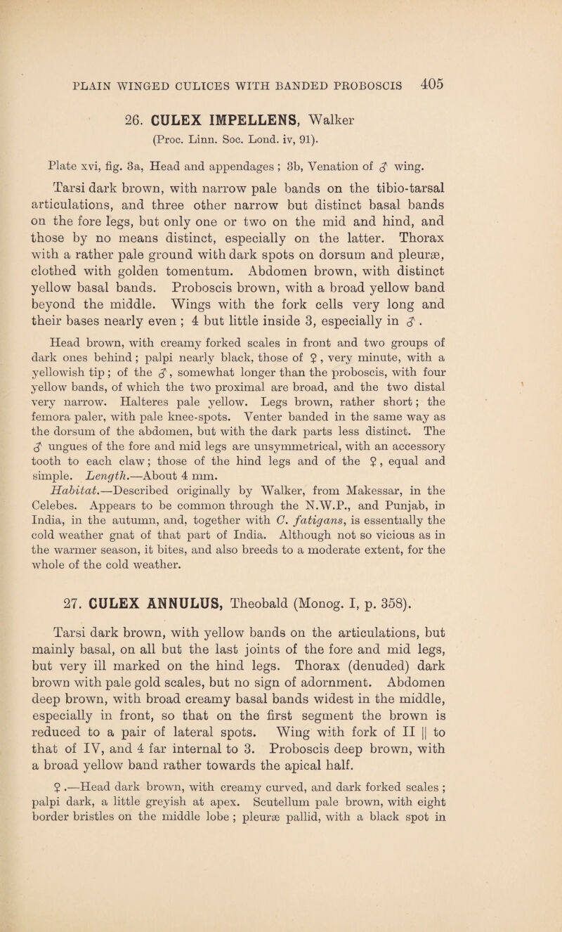 26. GULEX IMPELLENS, Walker (Proc. Linn. Soc. Lond. iv, 91). Plate xvi, fig. 3a, Head and appendages ; 3b, Venation of $ wing. Tarsi dark brown, with narrow pale bands on the tibio-tarsal articulations, and three other narrow but distinct basal bands on the fore legs, but only one or two on the mid and hind, and those by no means distinct, especially on the latter. Thorax with a rather pale ground with dark spots on dorsum and pleurae, clothed with golden tomentum. Abdomen brown, with distinct yellow basal bands. Proboscis brown, with a broad yellow band beyond the middle. Wings with the fork cells very long and their bases nearly even ; 4 but little inside 3, especially in $ . Head brown, with creamy forked scales in front and two groups of dark ones behind ; palpi nearly black, those of $ , very minute, with a yellowish tip ; of the $, somewhat longer than the proboscis, with four yellow bands, of which the two proximal are broad, and the two distal very narrow. Halteres pale yellow. Legs brown, rather short; the femora paler, with pale knee-spots. Venter banded in the same way as the dorsum of the abdomen, but with the dark parts less distinct. The ungues of the fore and mid legs are unsymmetrical, with an accessory tooth to each claw; those of the hind legs and of the 5 , equal and simple. Length.—About 4 mm. Habitat.—Described originally by Walker, from Makessar, in the Celebes. Appears to be common through the N.W.P., and Punjab, in India, in the autumn, and, together with G. fatigans, is essentially the cold weather gnat of that part of India. Although not so vicious as in the warmer season, it bites, and also breeds to a moderate extent, for the whole of the cold weather. 27. CULEX ANNULUS, Theobald (Monog. I, p. 358). Tarsi dark brown, with yellow bands on the articulations, but mainly basal, on all but the last joints of the fore and mid legs, but very ill marked on the hind legs. Thorax (denuded) dark brown with pale gold scales, but no sign of adornment. Abdomen deep brown, with broad creamy basal bands widest in the middle, especially in front, so that on the first segment the brown is reduced to a pair of lateral spots. Wing with fork of II || to that of IV, and 4 far internal to 3. Proboscis deep brown, with a broad yellow band rather towards the apical half. $ .—Head dark brown, with creamy curved, and dark forked scales ; palpi dark, a little greyish at apex. Scutellum pale brown, with eight border bristles on the middle lobe ; pleurae pallid, with a black spot in