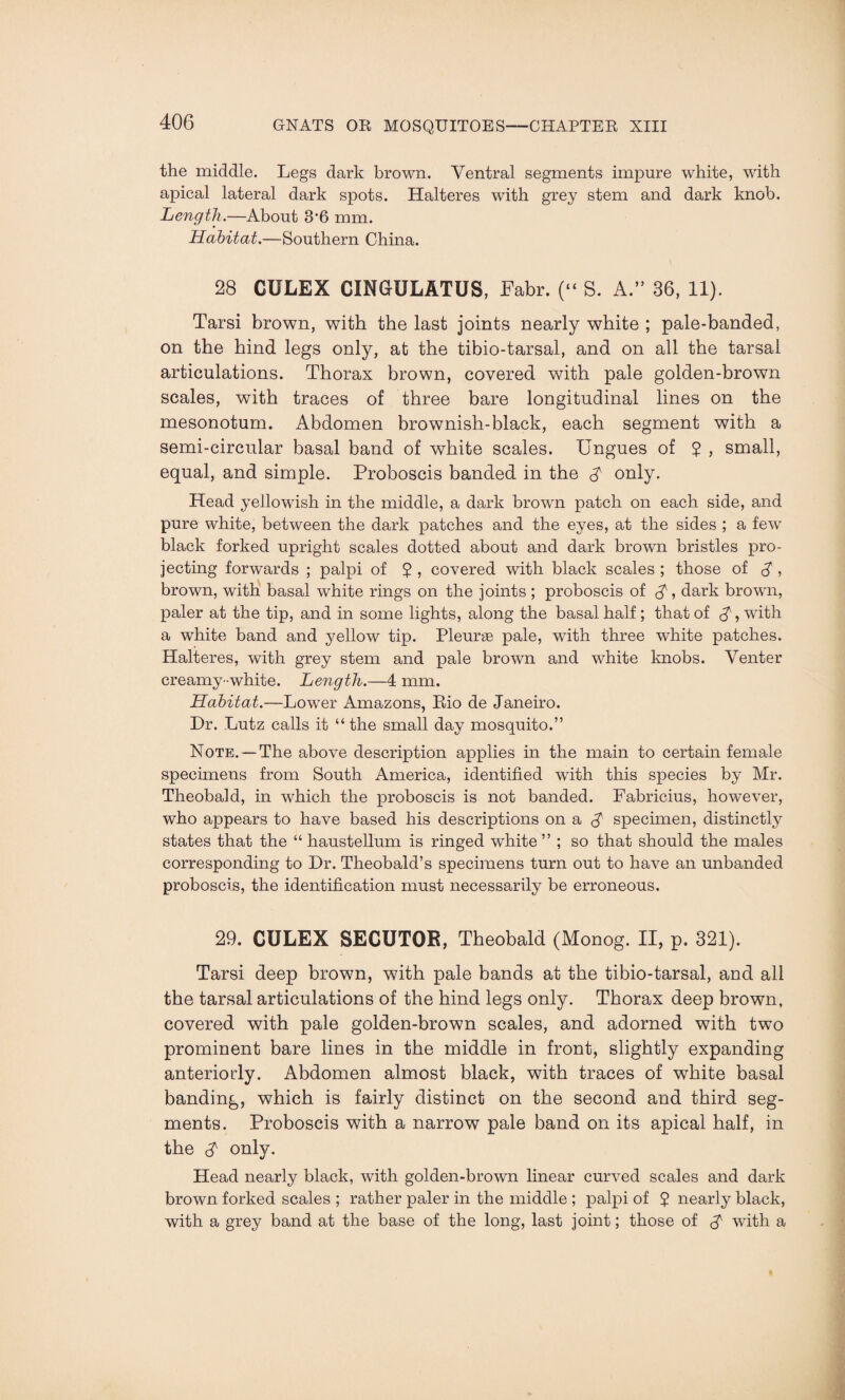 the middle. Legs dark brown. Ventral segments impure white, with apical lateral dark spots. Halteres with grey stem and dark knob. Length.—About 8'6 mm. Habitat.—Southern China. 28 CULEX CINGULATUS, Fabr. (“ S. A.” 36, 11). Tarsi brown, with the last joints nearly white ; pale-banded, on the hind legs only, at the tibio-tarsal, and on all the tarsal articulations. Thorax brown, covered with pale golden-brown scales, with traces of three bare longitudinal lines on the mesonotum. Abdomen brownish-black, each segment with a semi-circular basal band of white scales. Ungues of 5 , small, equal, and simple. Proboscis banded in the A only. Head yellowish in the middle, a dark brown patch on each side, and pure white, between the dark patches and the eyes, at the sides ; a few black forked upright scales dotted about and dark brown bristles pro¬ jecting forwards ; palpi of $ , covered with black scales ; those of S > brown, with basal white rings on the joints ; proboscis of $, dark brown, paler at the tip, and in some lights, along the basal half; that of £, with a white band and yellow tip. Pleurae pale, with three white patches. Halteres, with grey stem and pale brown and white knobs. Venter creamy-white. Leiigtli.—4 mm. Habitat.—Lower Amazons, Rio de Janeiro. Dr. Lutz calls it “the small day mosquito.” Note. —The above description applies in the main to certain female specimens from South America, identified with this species by Mr. Theobald, in which the proboscis is not banded. Fabricius, however, who appears to have based his descriptions on a $ specimen, distinctly states that the “ haustellum is ringed white” ; so that should the males corresponding to Dr. Theobald’s specimens turn out to have an unbanded proboscis, the identification must necessarily be erroneous. 29. CULEX SECUTOR, Theobald (Monog. II, p. 321). Tarsi deep brown, with pale bands at the tibio-tarsal, and all the tarsal articulations of the hind legs only. Thorax deep brown, covered with pale golden-brown scales, and adorned with two prominent bare lines in the middle in front, slightly expanding anteriorly. Abdomen almost black, with traces of white basal banding, which is fairly distinct on the second and third seg¬ ments. Proboscis with a narrow pale band on its apical half, in the only. Head nearly black, with golden-brown linear curved scales and dark brown forked scales ; rather paler in the middle ; palpi of $ nearly black, with a grey band at the base of the long, last joint; those of with a