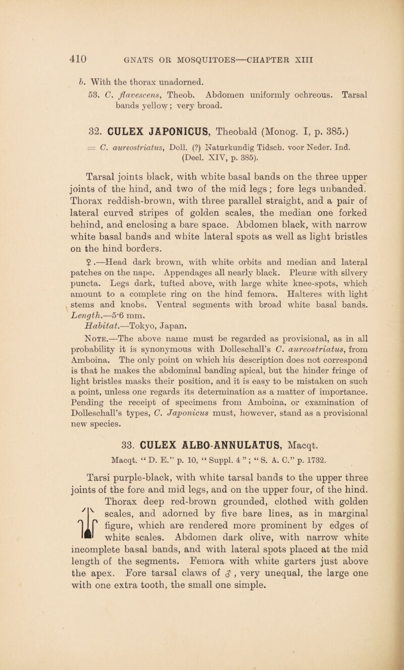 b. With the thorax unadorned. 53. C. flavescens, Theob. Abdomen uniformly ochreous. Tarsal bands yellow ; very broad. 32. CULEX JAPONICXJS, Theobald (Monog. I, p. 385.) = C. aureostriatus, Doll. (?) Naturkundig Tidsch. voor Neder. Ind. (Deel. XIV, p. 385). Tarsal joints black, with white basal bands on the three upper joints of the hind, and two of the mid legs; fore legs unhanded. Thorax reddish-brown, with three parallel straight, and a pair of lateral curved stripes of golden scales, the median one forked behind, and enclosing a bare space. Abdomen black, with narrow white basal bands and white lateral spots as well as light bristles on the hind borders. $ .—Head dark brown, with white orbits and median and lateral patches on the nape. Appendages all nearly black. Pleurae with silvery puncta. Legs dark, tufted above, wTith large white knee-spots, which amount to a complete ring on the hind femora. Halteres with light stems and knobs. Ventral segments with broad white basal bands. Length.—5*6 mm. Habitat.—Tokyo, Japan. Note.—The above name must be regarded as provisional, as in all probability it is synonymous with DolleschaU’s C. aureostriatus, from Amboina. The only point on which his description does not correspond is that he makes the abdominal banding apical, but the hinder fringe of light bristles masks their position, and it is easy to be mistaken on such a point, unless one regards its determination as a matter of importance. Pending the receipt of specimens from Amboina, or examination of Dolleschall’s types, C. Jagwnicus must, however, stand as a provisional new species. 33. CULEX ALBO-ANNULATUS, Macqt. Macqt. “ D. E.” p. 10, “ Suppl. 4 ” ; “ S. A. 0.” p. 1732. Tarsi purple-black, with white tarsal bands to the upper three joints of the fore and mid legs, and on the upper four, of the hind. Thorax deep red-brown grounded, clothed with golden J v scales, and adorned by five bare lines, as in marginal H * figure, which are rendered more prominent by edges of white scales. Abdomen dark olive, with narrow white incomplete basal bands, and with lateral spots placed at the mid length of the segments. Femora with white garters just above the apex. Fore tarsal claws of A , very unequal, the large one with one extra tooth, the small one simple.