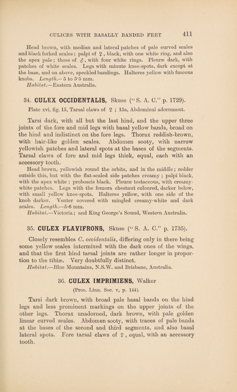 Head brown, with median and lateral patches of pale curved scales and black forked scales; palpi of 5 » black, with one white ring, and also the apex pale ; those of $, with four white rings. Pleurae dark, with patches of white scales. Legs with minute knee-spots, dark except at the base, and on above, speckled bandings. Halteres yellow with fuscous knobs. Length — 5 to 5*5 mm. Habitat.—Eastern Australia. 34. CULEX OCCIDENTALS, Skuse (“ S. A. 0.” p. 1729). Plate xvi, fig. 15, Tarsal claws of $ ; 15a, Abdominal adornment. Tarsi dark, with all but the last hind, and the upper three joints of the fore and mid legs with basal yellow bands, broad on the hind and indistinct on the fore legs. Thorax reddish-brown, with hair-like golden scales. Abdomen sooty, with narrow yellowish patches and lateral spots at the bases of the segments. Tarsal claws of fore and mid legs thick, equal, each with an accessory tooth. •/ Head brown, yellowish round the orbits, and in the middle; redder outside this, but with the flat-scaled side patches creamy ; palpi black, writh the apex white ; proboscis black. Pleurae testaceous, with creamy- white patches. Legs with the femora chestnut coloured, darker below, with small yellow knee-spots. Halteres yellow, with one side of the knob darker. Venter covered with mingled creamy-white and dark scales. Length.—5-6 mm. Habitat.—Victoria; and King George’s Sound, Western Australia. 35. CULEX FLAYIFRONS, Skuse (“ S. A. C.” p. 1735). Closely resembles C. occidentalism differing only in there being some yellow scales intermixed with the dark ones of the wings, and that the first hind tarsal joints are rather longer in propor¬ tion to the tibiae. Very doubtfully distinct. Habitat.—Blue Mountains, N.S.W. and Brisbane, Australia. 36. CULEX IMPRIMIENS, Walker (Proc. Linn. Soc. v, p. 144). Tarsi dark brown, with broad pale basal bands on the hind legs and less prominent markings on the upper joints of the other legs. Thorax unadorned, dark brown, with pale golden linear curved scales. Abdomen sooty, with traces of pale bands at the bases of the second and third segments, and also basal lateral spots. Fore tarsal claws of 7 , equal, with an accessory tooth.