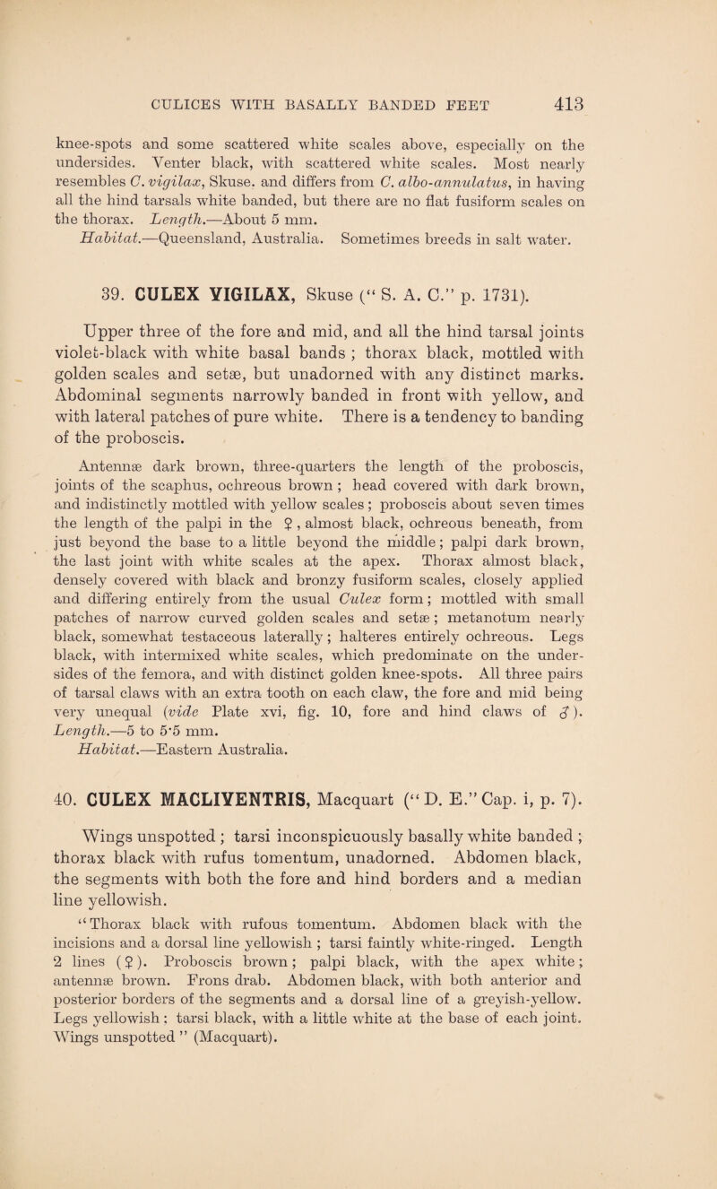 knee-spots and some scattered white scales above, especially on the undersides. Venter black, with scattered white scales. Most nearly resembles C. vigilax, Skuse. and differs from C. albo-annulatus, in having all the hind tarsals white banded, but there are no flat fusiform scales on the thorax. Length.—About 5 mm. Habitat.—Queensland, Australia. Sometimes breeds in salt water. 39. CULEX YIGILAX, Skuse (“ S. A. C.” p. 1731). Upper three of the fore and mid, and all the hind tarsal joints violet-black with white basal bands ; thorax black, mottled with golden scales and setae, but unadorned with any distinct marks. Abdominal segments narrowly banded in front with yellow, and with lateral patches of pure white. There is a tendency to banding of the proboscis. Antennae dark brown, three-quarters the length of the proboscis, joints of the scaphus, ochreous brown ; head covered with dark brown, and indistinctly mottled with yellow scales ; proboscis about seven times the length of the palpi in the ? , almost black, ochreous beneath, from just beyond the base to a little beyond the middle; palpi dark brown, the last joint with white scales at the apex. Thorax almost black, densely covered with black and bronzy fusiform scales, closely applied and differing entirely from the usual C-ulex form; mottled with small patches of narrow curved golden scales and setae ; metanotum nearly black, somewhat testaceous laterally ; halteres entirely ochreous. Legs black, with intermixed white scales, which predominate on the under¬ sides of the femora, and with distinct golden knee-spots. All three pairs of tarsal claws with an extra tooth on each claw, the fore and mid being very unequal (vide Plate xvi, fig. 10, fore and hind claws of J'). Length.—5 to 5'5 mm. Habitat.—Eastern Australia. 40. CULEX MACLIYENTRIS, Macquart (“ D. E.”Cap. i, p. 7). Wings unspotted ; tarsi inconspicuously basally white banded ; thorax black with rufus tomentum, unadorned. Abdomen black, the segments with both the fore and hind borders and a median line yellowish. “Thorax black with rufous tomentum. Abdomen black with the incisions and a dorsal line yellowish ; tarsi faintly white-ringed. Length 2 lines (5). Proboscis brown; palpi black, with the apex white; antennee brown. Frons drab. Abdomen black, with both anterior and posterior borders of the segments and a dorsal line of a greyish-yellow. Legs yellowish : tarsi black, with a little white at the base of each joint. Wings unspotted ” (Macquart).