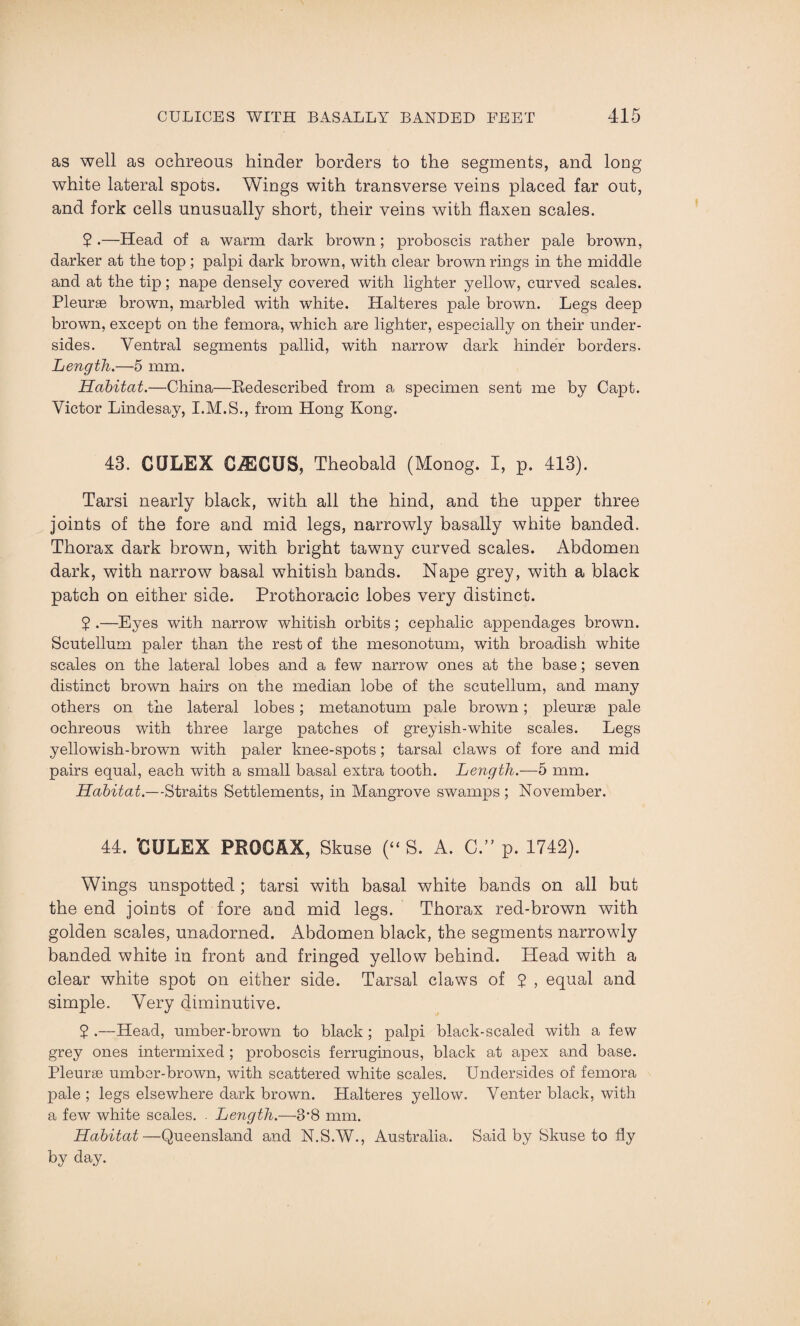 as well as ochreous hinder borders to the segments, and long white lateral spots. Wings with transverse veins placed far out, and fork cells unusually short, their veins with flaxen scales. $ .—Head of a warm dark brown; proboscis rather pale brown, darker at the top ; palpi dark brown, with clear brown rings in the middle and at the tip; nape densely covered with lighter yellow, curved scales. Pleurae brown, marbled with white. Halteres pale brown. Legs deep brown, except on the femora, which are lighter, especially on their under¬ sides. Ventral segments pallid, with narrow dark hinder borders. Length.—5 mm. Habitat.—China—Redescribed from a specimen sent me by Capt. Victor Lindesay, I.M.S., from Hong Kong. 43. CULEX GiECUS, Theobald (Monog. I, p. 413). Tarsi nearly black, with all the hind, and the upper three joints of the fore and mid legs, narrowly basally white banded. Thorax dark brown, with bright tawny curved scales. Abdomen dark, with narrow basal whitish bands. Nape grey, with a black patch on either side. Prothoracic lobes very distinct. 5 .—Eyes with narrow whitish orbits; cephalic appendages brown. Scutellum paler than the rest of the mesonotum, with broadish white scales on the lateral lobes and a few narrow ones at the base; seven distinct brown hairs on the median lobe of the scutellum, and many others on the lateral lobes; metanotum pale brown; pleurae pale ochreous with three large patches of greyish-white scales. Legs yellowdsh-browm with paler knee-spots; tarsal claws of fore and mid pairs equal, each with a small basal extra tooth. Length.—5 mm. Habitat.—Straits Settlements, in Mangrove swamps; November. 44. ‘CULEX PROCAX, Skuse (“ S. A. C.” p. 1742). Wings unspotted ; tarsi with basal white bands on all but the end joints of fore and mid legs. Thorax red-brown with golden scales, unadorned. Abdomen black, the segments narrowly banded white in front and fringed yellow behind. Head with a clear white spot on either side. Tarsal claws of ? , equal and simple. Very diminutive. 5 .—Head, umber-brown to black; palpi black-scaled with a few grey ones intermixed ; proboscis ferruginous, black at apex and base. Pleurae umber-brown, with scattered white scales. Undersides of femora pale ; legs elsewhere dark brown. Halteres yellow. Venter black, with a few white scales. . Length.—3*8 mm. Habitat—Queensland and N.S.W., Australia. Said by Skuse to fly by day.