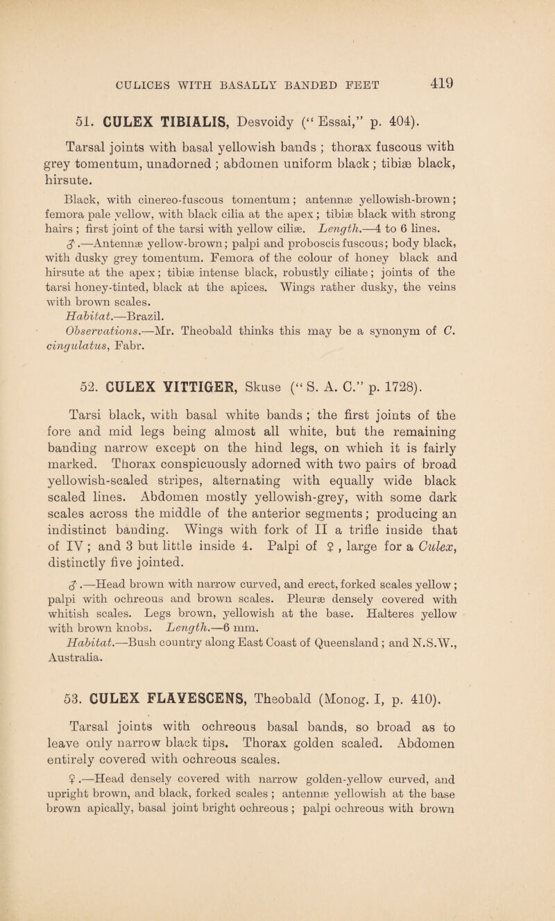 51. CULEX TIBIALIS, Desvoidy (“ Essai,” p. 404). Tarsal joints with basal yellowish bands ; thorax fuscous with grey tomentum, unadorned ; abdomen uniform black; tibiae black, hirsute. Black, with cinereo-fuscous tomentum; antennae yellowish-brown; femora pale yellow, with black cilia at the apex ; tibiae black with strong hairs ; first joint of the tarsi with yellow ciliae. Length.—4 to 6 lines. .—Antennae yellow-brown; palpi and proboscis fuscous; body black, with dusky grey tomentum. Femora of the colour of honey black and hirsute at the apex; tibiae intense black, robustly ciliate; joints of the tarsi honey-tinted, black at the apices. Wings rather dusky, the veins with brown scales. Habitat.—Brazil. Observations.—Mr. Theobald thinks this may be a synonym of C. cingulatus, Fabr. 52. CULEX YITTIGER, Skuse (“ S. A. C.” p. 1728). Tarsi black, with basal white bands ; the first joints of the fore and mid legs being almost all white, but the remaining banding narrow except on the hind legs, on which it is fairly marked. Thorax conspicuously adorned with two pairs of broad yellowish-scaled stripes, alternating with equally wide black scaled lines. Abdomen mostly yellowish-grey, with some dark scales across the middle of the anterior segments; producing an indistinct banding. Wings with fork of II a trifle inside that of IY ; and 3 but little inside 4. Palpi of 2 , large for a Culex, distinctly five jointed. A .—Head brown with narrow curved, and erect, forked scales yellow ; palpi with ochreous and brown scales. Pleurae densely covered with whitish scales. Legs brown, yellowish at the base. Halteres yellow with brown knobs. Length.—6 mm. Habitat.—Bush country along East Coast of Queensland ; and N.S.W., Australia. 53. CULEX FLAYESCENS, Theobald (Monog. I, p. 410). Tarsal joints with ochreous basal bands, so broad as to leave only narrow black tips. Thorax golden scaled. Abdomen entirely covered with ochreous scales. 7 .—Head densely covered with narrow golden-yellow curved, and upright brown, and black, forked scales ; antennae yellowish at the base brown apically, basal joint bright ochreous ; palpi ochreous with brown