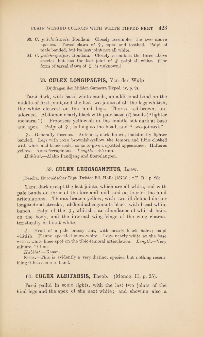 68. C. pulchrit arsis, Rondani. Closely resembles the two above species. Tarsal claws of 2 » equal and toothed. Palpi of male banded, but its last joint not all white. 64. C. pulchripalpis, Rondani. Closely resembles the three above species, but has the last joint of A palpi all white. (The form of tarsal claws of ? , is unknown.) 58. CULEX LONGIPALPIS, Van der Wulp (Bijdragen der Midden Sumatra Exped. iv, p. 9). Tarsi dark, with basal white bands, an additional band on the middle of first joint, and the last two joints of all the legs whitish, the white clearest on the hind legs. Thorax red-brown, un¬ adorned. Abdomen nearly black with pale basal (?) bands (“lighter incisurse ”). Proboscis yellowish in the middle but dark at base and apex. Palpi of 2 , as long as the head, and “ two-jointed.” $ .—Generally fuscous. Antennae, dark brown, indistinctly lighter banded. Legs with coxae brownish-yellow, the femora and tibiae clothed with white and black scales so as to give a spotted appearance. Halteres yellow. Anus ferruginous. Length.—4-5 mm. Habitat.—Alahn Pandjang and Scercelangoen. 59. CULEX LEUGACANTHUS, Loew. [Bescha. Europaischer Dipt. Dritter Bd. Plalle (1873)]; “ F. R.” p. 265. Tarsi dark except the last joints, which are all white, and with pale bands on three of the fore and mid, and on four of the hind articulations. Thorax brazen yellow, with two ill-defined darker longitudinal streaks ; abdominal segments black, with basal white bands. Palpi of the S , whitish ; an abundance of whitish hairs on the body, and the internal wing-fringe of the wing charac¬ teristically brilliant white. L.—Head of a pale brassy tint, with nearly black hairs; palpi whitish. Pleurae speckled snow-white. Legs nearly white at the base with a white knee-spot on the tibio-femoral articulation. Length.—Very minute, If lines. Habitat.—Kasan. Note.—This is evidently a very distinct species, but nothing resem¬ bling it has come to hand. 60. CULEX ALRITARSIS, Theob. (Monog. II, p. 25). Tarsi pallid in seme lights, with the last two joints of the hind legs and the apex of the next white; and showing also a