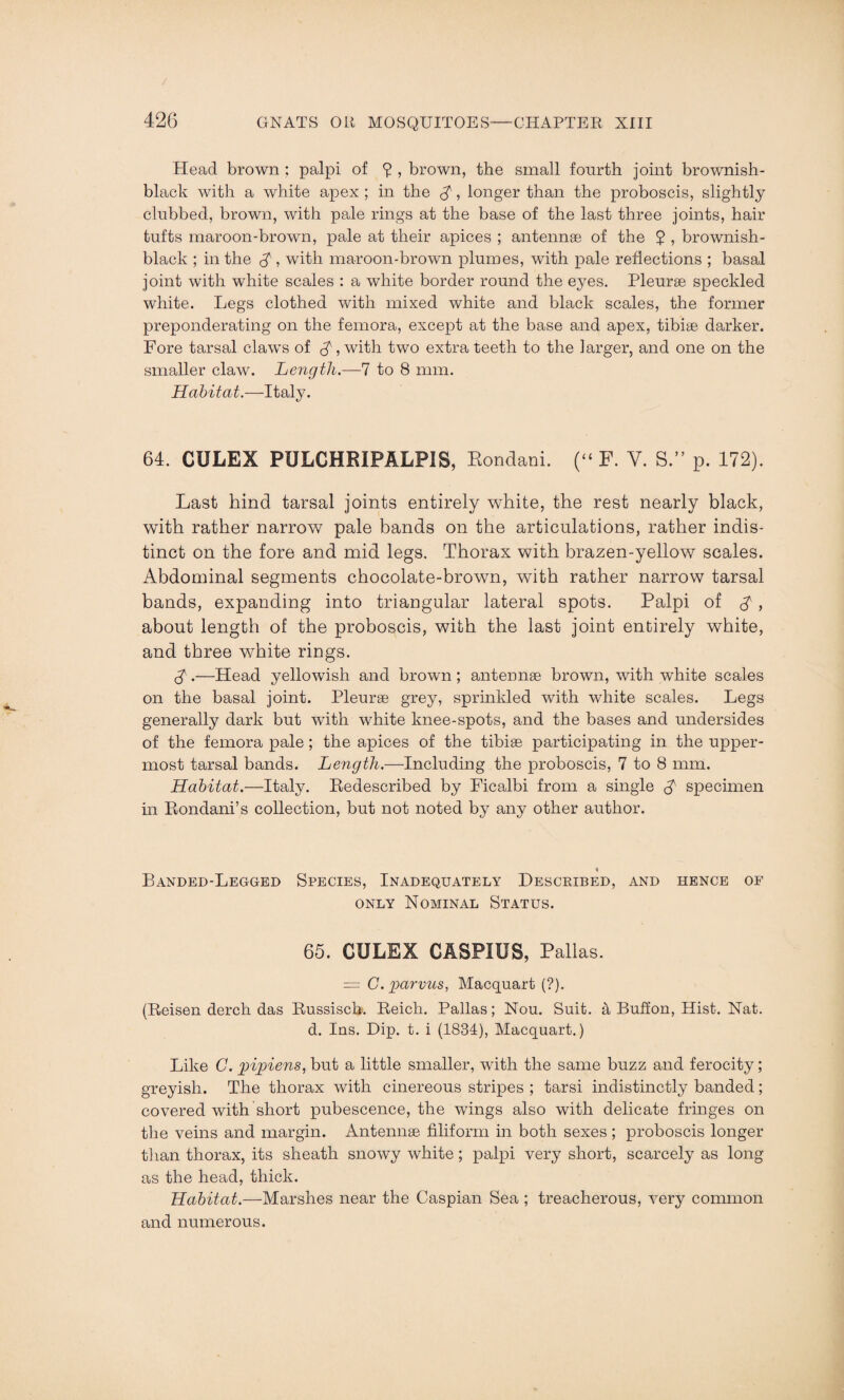 Head brown ; palpi of ? , brown, the small fourth joint brownish- black with a white apex ; in the £, longer than the proboscis, slightly clubbed, brown, with pale rings at the base of the last three joints, hair tufts maroon-brown, pale at their apices ; antennae of the 5 , brownish- black ; in the $ , with maroon-brown plumes, with pale reflections ; basal joint with white scales : a white border round the eyes. Pleurae speckled white. Legs clothed with mixed white and black scales, the former preponderating on the femora, except at the base and apex, tibiae darker. Fore tarsal claws of £, with two extra teeth to the larger, and one on the smaller claw. Length.—7 to 8 mm. Habitat.—Italy. 64. CULEX PULCHRIPALPIS, Rondam. (“ F. Y. S.” p. 172). Last hind tarsal joints entirely white, the rest nearly black, with rather narrow pale bands on the articulations, rather indis¬ tinct on the fore and mid legs. Thorax with brazen-yellow scales. Abdominal segments chocolate-brown, with rather narrow tarsal bands, expanding into triangular lateral spots. Palpi of A > about length of the proboscis, with the last joint entirely white, and three white rings. 8s.—Head yellowish and brown ; antennse brown, with white scales on the basal joint. Pleurse grey, sprinkled with white scales. Legs generally dark but with white knee-spots, and the bases and undersides of the femora pale; the apices of the tibiae participating in the upper¬ most tarsal bands. Length.—Including the proboscis, 7 to 8 mm. Habitat.—Italy. Redescribed by Ficalbi from a single specimen in Rondani’s collection, but not noted by any other author. % Banded-Legged Species, Inadequately Described, and hence of only Nominal Status. 65. CULEX GASPIUS, Pallas. = C. parvus, Macquart (?). (Reisen derch das Russisch. Reich. Pallas; Nou. Suit. 4 Buffon, Hist. Nat. d. Ins. Dip. t. i (1834), Macquart.) Like C. pipiens, but a little smaller, with the same buzz and ferocity; greyish. The thorax with cinereous stripes ; tarsi indistinctly banded; covered with short pubescence, the wings also with delicate fringes on the veins and margin. Antennse filiform in both sexes ; proboscis longer than thorax, its sheath snowy white; palpi very short, scarcely as long as the head, thick. Habitat.—Marshes near the Caspian Sea ; treacherous, very common and numerous.