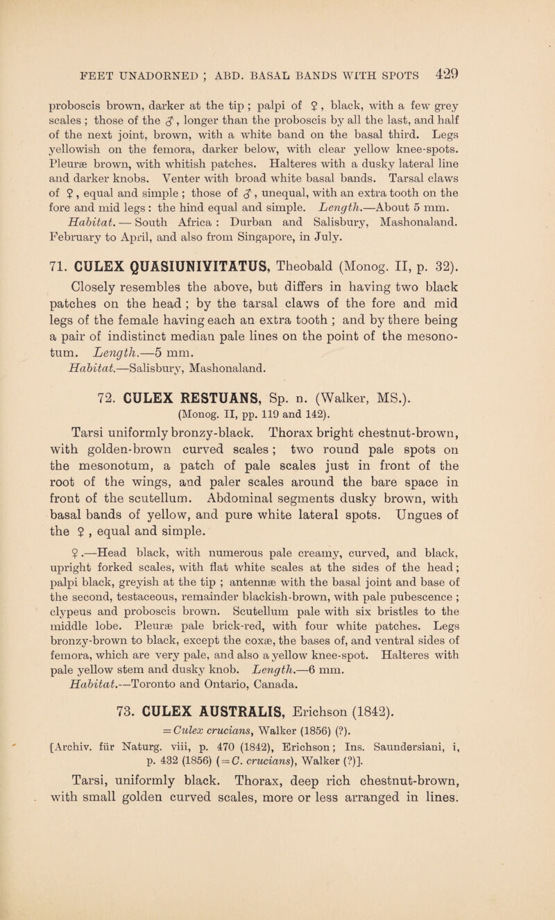proboscis brown, darker at the tip ; palpi of 2 > black, with a few grey scales ; those of the $, longer than the proboscis by all the last, and half of the next joint, brown, with a white band on the basal third. Legs yellowish on the femora, darker below, with clear yellow knee-spots. Pleurae brown, with whitish patches. Halteres with a dusky lateral line and darker knobs. Venter with broad white basal bands. Tarsal claws of 2 > equal and simple ; those of $•, unequal, with an extra tooth on the fore and mid legs : the hind equal and simple. Length.—About 5 mm. Habitat. — South Africa : Durban and Salisbury, Mashonaland. February to April, and also from Singapore, in July. 71. CULEX QUASIUNIYITATUS, Theobald (Monog. II, p. 32). Closely resembles the above, but differs in having two black patches on the head ; by the tarsal claws of the fore and mid legs of the female having each an extra tooth ; and by there being a pair of indistinct median pale lines on the point of the mesono- tum. Length.—5 mm. Habitat.—Salisbury, Mashonaland. 72. CULEX RESTUANS, Sp. n. (Walker, MS.). (Monog. II, pp. 119 and 142). Tarsi uniformly bronzy-black. Thorax bright chestnut-brown, with golden-brown curved scales; two round pale spots on the mesonotum, a patch of pale scales just in front of the root of the wings, and paler scales around the bare space in front of the scutellum. Abdominal segments dusky brown, with basal bands of yellow, and pure white lateral spots. Ungues of the 2 , equal and simple. 2 •—Head black, with numerous pale creamy, curved, and black, upright forked scales, with flat white scales at the sides of the head; palpi black, greyish at the tip ; antennse with the basal joint and base of the second, testaceous, remainder blackish-brown, with pale pubescence ; clypeus and proboscis brown. Scutellum pale with six bristles to the middle lobe. Pleurae pale brick-red, with four white patches. Legs bronzy-brown to black, except the coxae, the bases of, and ventral sides of femora, which are very pale, and also a yellow knee-spot. Halteres with pale yellow stem and dusky knob. Length.—6 mm. Habitat.—Toronto and Ontario, Canada. 73. CULEX AUSTRALIS, Erichson (1842). = Culex crucians, Walker (1856) (?). {Archiv. fur Naturg. viii, p. 470 (1842), Erichson; Ins. Saundersiani, i, p. 482 (1856) ( = C. crucians), Walker (?)]. Tarsi, uniformly black. Thorax, deep rich chestnut-brown, with small golden curved scales, more or less arranged in lines.