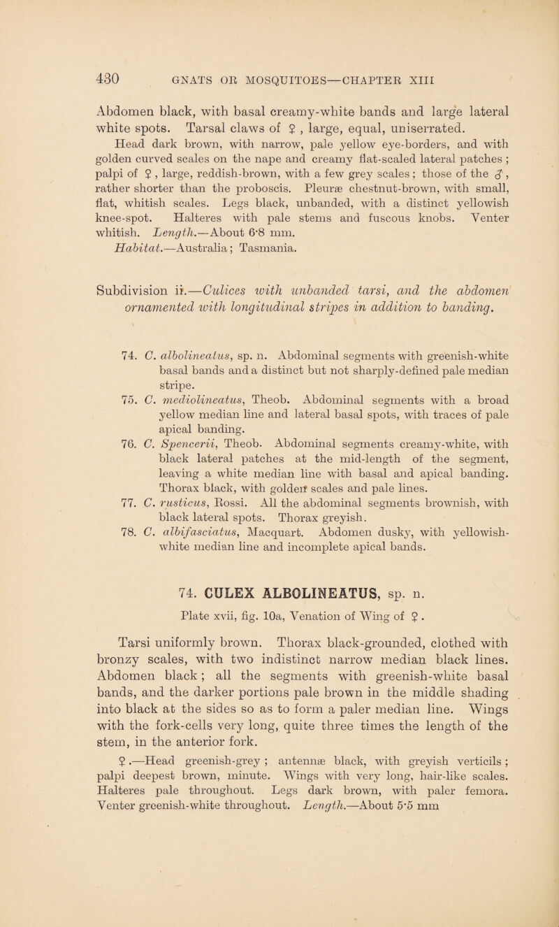 Abdomen black, with basal creamy-white bands and large lateral white spots. Tarsal claws of 2 , large, equal, uniserrated. Head dark brown, with narrow, pale yellow eye-borders, and with golden curved scales on the nape and creamy flat-scaled lateral patches ; palpi of 2 5 large, reddish-brown, with a few grey scales ; those of the A 5 rather shorter than the proboscis. Pleurae chestnut-brown, with small, flat, whitish scales. Legs black, unbanded, with a distinct yellowish knee-spot. Halteres with pale stems and fuscous knobs. Venter whitish. Length.—About 6*8 mm. Habitat.—Australia; Tasmania. Subdivision ii.—Gulices with unhanded tarsi, and the abdomen ornamented with longitudinal stripes in addition to handing. 74. C. albolineatus, sp. n. Abdominal segments with greenish-white basal bands and a distinct but not sharply-defined pale median stripe. 75. C. mediolineatus, Theob. Abdominal segments with a broad yellow median line and lateral basal spots, with traces of pale apical banding. 76. C. Spencerii, Theob. Abdominal segments creamy-white, with black lateral patches at the mid-length of the segment, leaving a white median line with basal and apical banding. Thorax black, with goldeif scales and pale lines. 77. C. rusticus, Rossi. All the abdominal segments brownish, with black lateral spots. Thorax greyish. 78. C. albifasciatus, Macquart. Abdomen dusky, with yellowish- white median line and incomplete apical bands. 74. CULEX ALBOLINEATUS, sp. n. Plate xvii, fig. 10a, Venation of Wing of 2 . Tarsi uniformly brown. Thorax black-grounded, clothed with bronzy scales, with two indistinct narrow median black lines. Abdomen black; all the segments with greenish-white basal bands, and the darker portions pale brown in the middle shading into black at the sides so as to form a paler median line. Wings with the fork-cells very long, quite three times the length of the stem, in the anterior fork. ? .—Head greenish-grey ; antennae black, with greyish verticils ; palpi deepest brown, minute. Wings with very long, hair-like scales. Halteres pale throughout. Legs dark brown, with paler femora. Venter greenish-white throughout. Length.—About 5'5 mm