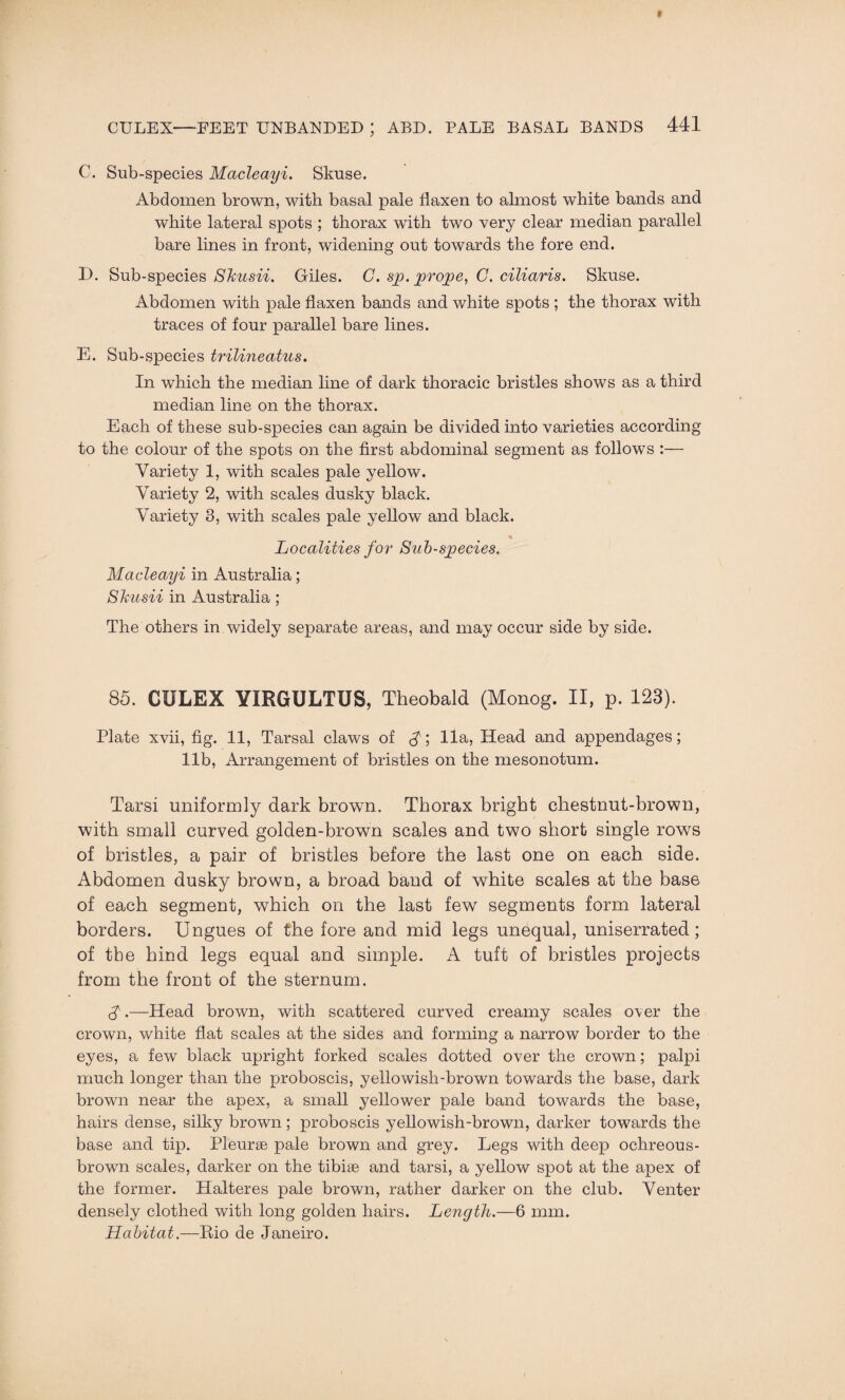 C. Sub-species Macleayi. Skuse. Abdomen brown, with basal pale flaxen to almost white bands and white lateral spots ; thorax with two very clear median parallel bare lines in front, widening out towards the fore end. D. Sub-species Shusii. Giles. C. sp. prope, C. ciliaris. Skuse. Abdomen with pale flaxen bands and white spots ; the thorax with traces of four parallel bare lines. E. Sub-species trilineatus. In which the median line of dark thoracic bristles shows as a third median line on the thorax. Each of these sub-species can again be divided into varieties according to the colour of the spots on the first abdominal segment as follows Variety 1, with scales pale yellow. Variety 2, with scales dusky black. Variety 3, with scales pale yellow and black. Localities for Sub-species. Macleayi in Australia; Shusii in Australia ; The others in widely separate areas, and may occur side by side. 85. CULEX YIRGULTUS, Theobald (Monog. II, p. 123). Plate xvii, fig. 11, Tarsal claws of $; 11a, Head and appendages; lib, Arrangement of bristles on the mesonotum. Tarsi uniformly dark brown. Thorax bright chestnut-brown, with small curved golden-brown scales and two short single rows of bristles, a pair of bristles before the last one on each side. Abdomen dusky brown, a broad band of white scales at the base of each segment, which on the last few segments form lateral borders. Ungues of the fore and mid legs unequal, uniserrated; of the hind legs equal and simple. A tuft of bristles projects from the front of the sternum. A.—Head brown, with scattered curved creamy scales over the crown, white flat scales at the sides and forming a narrow border to the eyes, a few black upright forked scales dotted over the crown; palpi much longer than the proboscis, yellowish-brown towards the base, dark brown near the apex, a small yellower pale band towards the base, hairs dense, silky brown; proboscis yellowish-brown, darker towards the base and tip. Pleurae pale brown and grey. Legs with deep ochreous- brown scales, darker on the tibiae and tarsi, a yellow spot at the apex of the former. Halteres pale brown, rather darker on the club. Venter densely clothed with long golden hairs. Length.—6 mm. Habitat .—Rio de Janeiro.