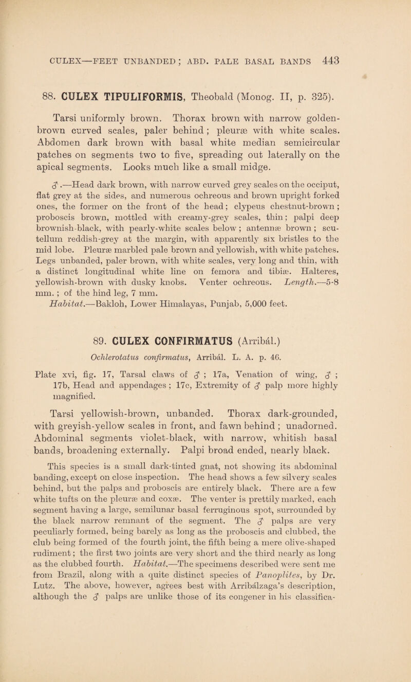 88. CULEX TIPULIFORMIS, Theobald (Monog. II, p. 325). Tarsi uDiformly brown. Thorax brown with narrow golden- brown curved scales, paler behind ; pleurae with white scales. Abdomen dark brown with basal white median semicircular patches on segments two to five, spreading out laterally on the apical segments. Looks much like a small midge. $ .—Head dark brown, with narrow curved grey scales on the occiput, flat grey at the sides, and numerous ochreous and brown upright forked ones, the former on the front of the head; clypeus chestnut-brown ; proboscis brown, mottled with creamy-grey scales, thin; palpi deep brownish-black, with pearly-white scales below ; antennae brown ; scu- tellurn reddish-grey at the margin, with apparently six bristles to the mid lobe. Pleurae marbled pale brown and yellowish, with white patches. Legs unbanded, paler brown, with white scales, very long and thin, with a distinct longitudinal white line on femora and tibiae. Halteres, yellowish-brown with dusky knobs. Venter ochreous. Length.—5-8 mm. ; of the hind leg, 7 mm. Habitat.—Bakloh, Lower Himalayas, Punjab, 5,000 feet. 89. CULEX CONFIRMATUS (Arribal.) Ochlerotatus confirmatus, Arribal. L. A. p. 46. Plate xvi, fig. 17, Tarsal claws of $ ; 17a, Venation of wing, J ; 17b, Head and appendages ; 17c, Extremity of $ palp more highly magnified. Tarsi yellowish-brown, unbanded. Thorax dark-grounded, with greyish-yellow scales in front, and fawn behind ; unadorned. Abdominal segments violet-black, with narrow, whitish basal bands, broadening externally. Palpi broad ended, nearly black. This species is a small dark-tinted gnat, not showing its abdominal banding, except on close inspection. The head shows a few silvery scales behind, but the palps and proboscis are entirely black. There are a few white tufts on the pleurae and coxae. The venter is prettily marked, each segment having a large, semilunar basal ferruginous spot, surrounded by the black narrow remnant of the segment. The palps are very peculiarly formed, being barely as long as the proboscis and clubbed, the club being formed of the fourth joint, the fifth being a mere olive-shaped rudiment; the first two joints are very short and the third nearly as long as the clubbed fourth. Habitat.—The specimens described were sent me from Brazil, along with a quite distinct species of Panoplites, by Dr. Lutz. The above, however, agrees best with Arribalzaga’s description, although the $ palps are unlike those of its congener in his classifica-