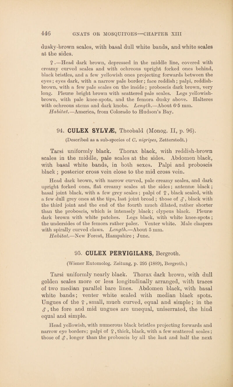 dusky-brown scales, with basal dull white bands, and white scales at the sides. 5 .—Head dark brown, depressed in the middle line, covered with creamy curved scales and with ochreous upright forked ones behind, black bristles, and a few yellowish ones projecting forwards between the eyes; eyes dark, with a narrow pale border; face reddish; palpi, reddish- brown, with a few pale scales on the inside; proboscis dark brown, very long. Pleurae bright brown with scattered pale scales. Legs yellowish- brown, with pale knee-spots, and the femora dusky above. Halteres with ochreous stems and dark knobs. Length.—About 6'5 mm. Habitat.—America, from Colorado to Hudson’s Bay. 94. CULEX SYLYiE, Theobald (Monog. II, p. 96). (Described as a sub-species of C. nigripes, Zetterstedt.) Tarsi uniformly black. Thorax black, with reddish-brown scales in the middle, pale scales at the sides. Abdomen black, with basal white bands, in both sexes. Palpi and proboscis black ; posterior cross vein close to the mid cross vein. Head dark brown, with narrow curved, pale creamy scales, and dark upright forked ones, flat creamy scales at the sides; antennae black ; basal joint black, with a few grey scales ; palpi of $ , black scaled, with a few dull grey ones at the tips, last joint broad ; those of A, black with the third joint and the end of the fourth much dilated, rather shorter than the proboscis, which is intensely black; clypeus black. Pleurae dark brown with white patches. Legs black, with white knee-spots ; the undersides of the femora rather paler. Venter white. Male claspers with spirally curved claws. Length.—About 5 mm. Habitat.—New Forest, Hampshire ; June. 95. CULEX PERYIGILANS, Bergroth. (Wiener Entomolog. Zeitung, p. 295 (1889), Bergroth.) Tarsi uniformly nearly black. Thorax dark brown, with dull golden scales more or less longitudinally arranged, with traces of two median parallel bare lines. Abdomen black, with basal white bands; venter white scaled with median black spots. Ungues of the ? , small, much curved, equal and simple; in the A , the fore and mid ungues are unequal, uniserrated, the hind equal and simple. Head yellowish, with numerous black bristles projecting forwards and narrow eye borders; palpi of 5 , thick, black, with a few scattered scales ; those of A j longer than the proboscis by all the last and half the next