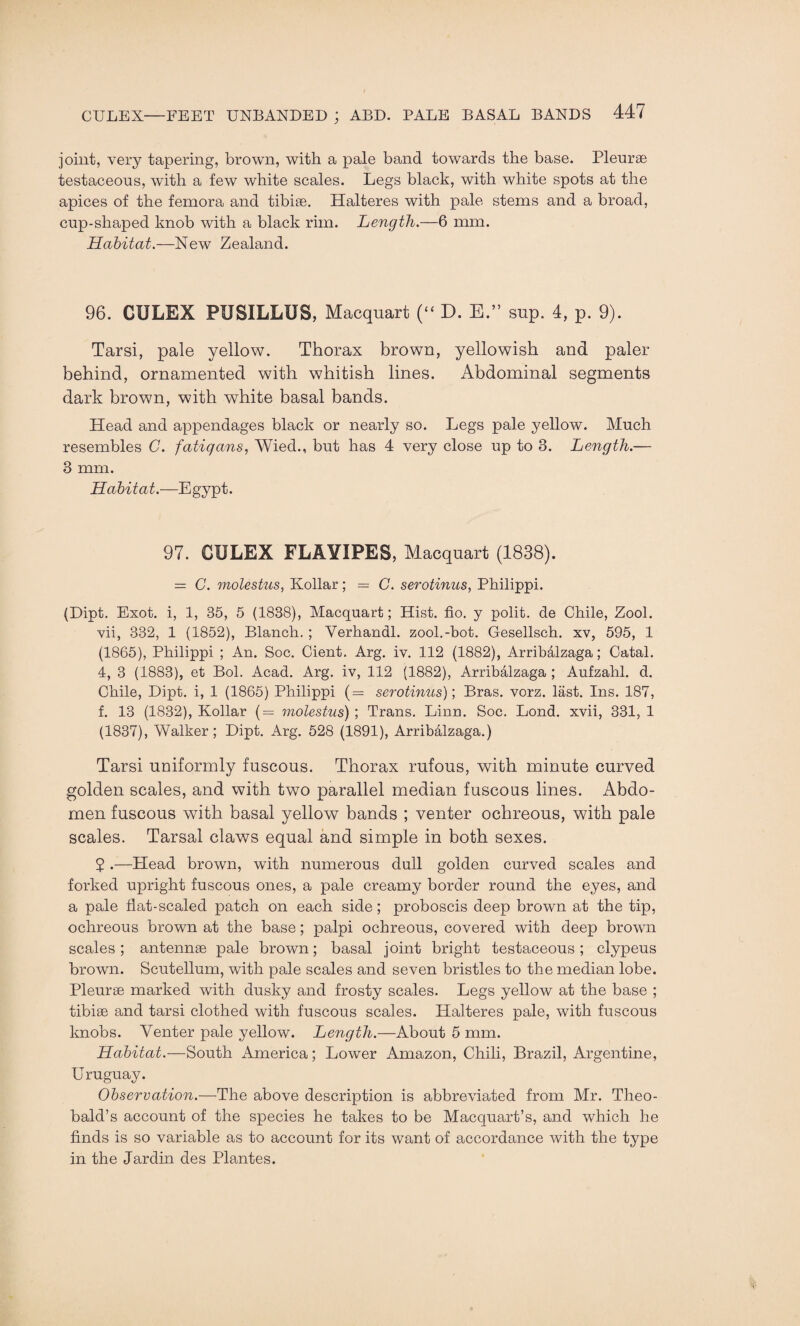 joint, very tapering, brown, with a pale band towards the base. Pleurae testaceous, with a few white scales. Legs black, with white spots at the apices of the femora and tibiae. Halteres with pale stems and a broad, cup-shaped knob with a black rim. Length.—6 mm. Habitat.—New Zealand. 96. CULEX PUSILLUS, Macquart (“ D. E.” sup. 4, p. 9). Tarsi, pale yellow. Thorax brown, yellowish and paler behind, ornamented with whitish lines. Abdominal segments dark brown, with white basal bands. Head and appendages black or nearly so. Legs pale yellow. Much resembles C. fatiqans, Wied., but has 4 very close up to 3. Length.— 3 mm. Habitat.—Egypt. 97. CULEX FLAYIPES, Macquart (1838). = C. molestus, Kollar; = C. serotinus, Philippi. (Dipt. Exot. i, 1, 35, 5 (1838), Macquart; Hist. fio. y polit. de Chile, Zool. vii, 332, 1 (1852), Blanch. ; Verhandl. zool.-bot. Gesellsch. xv, 595, 1 (1865), Philippi ; An. Soc. Cient. Arg. iv. 112 (1882), Arribalzaga; Catal. 4, 3 (1883), et Bol. Acad. Arg. iv, 112 (1882), Arribalzaga ; Aufzahl. d. Chile, Dipt, i, 1 (1865) Philippi (= serotinus); Bras. vorz. last. Ins. 187, f. 13 (1832), Kollar (= molestus) ; Trans. Linn. Soc. Lond. xvii, 331, 1 (1837), Walker; Dipt. Arg. 528 (1891), Arribalzaga.) Tarsi uniformly fuscous. Thorax rufous, with minute curved golden scales, and with two parallel median fuscous lines. Abdo¬ men fuscous with basal yellow bands ; venter ochreous, with pale scales. Tarsal claws equal and simple in both sexes. $ .—Head brown, with numerous dull golden curved scales and forked upright fuscous ones, a pale creamy border round the eyes, and a pale flat-scaled patch on each side; proboscis deep brown at the tip, ochreous brown at the base; palpi ochreous, covered with deep brown scales; antennae pale brown; basal joint bright testaceous; clypeus brown. Scutellum, with pale scales and seven bristles to the median lobe. Pleurae marked with dusky and frosty scales. Legs yellow at the base ; tibiae and tarsi clothed with fuscous scales. Halteres pale, with fuscous knobs. Venter pale yellow. Length.—About 5 mm. Habitat.—South America; Lower Amazon, Chili, Brazil, Argentine, Uruguay. Observation.—The above description is abbreviated from Mr. Theo¬ bald’s account of the species he takes to be Macquart’s, and which he finds is so variable as to account for its want of accordance with the type in the Jardin des Plantes.