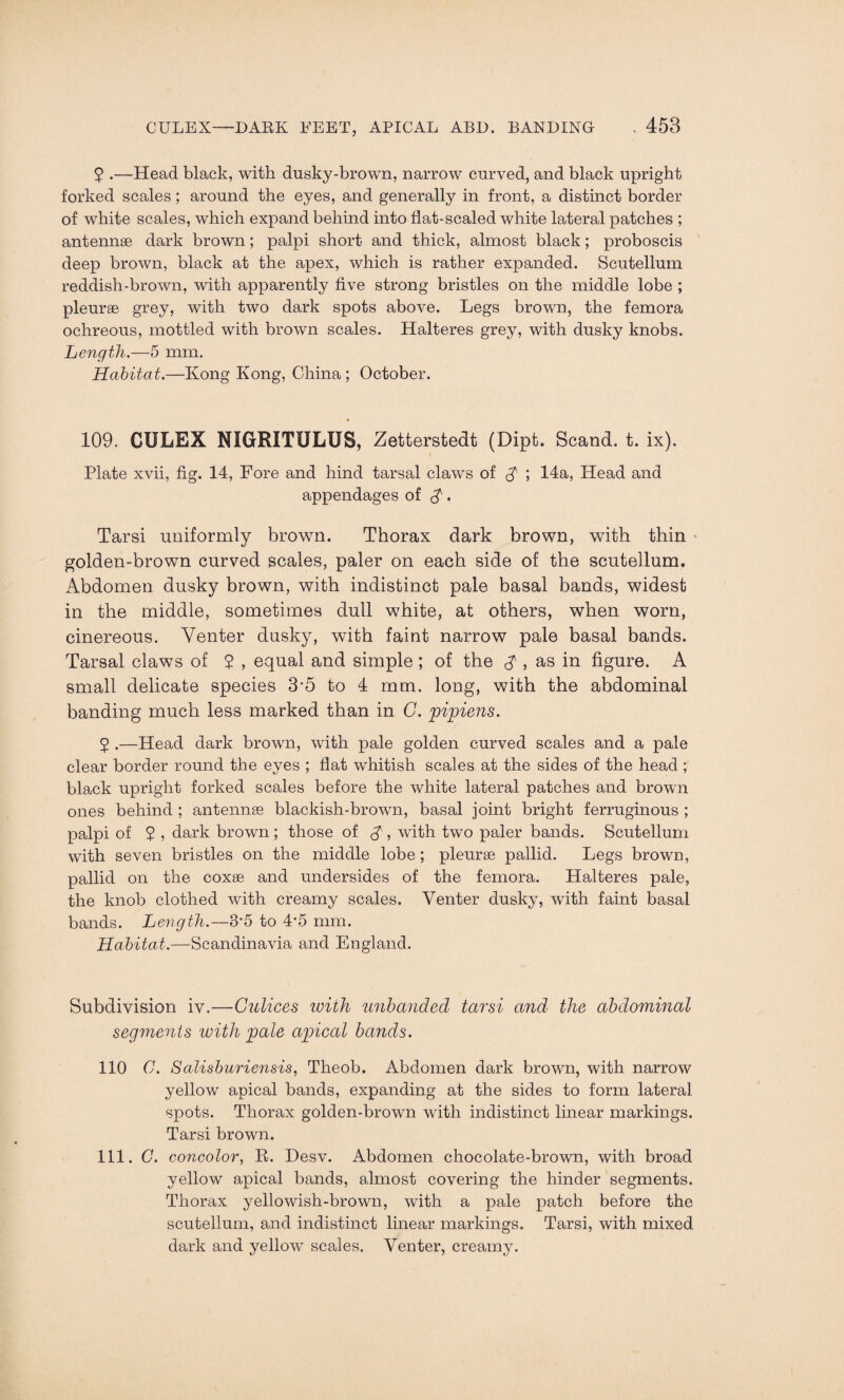 5 .—Head black, with dusky-brown, narrow curved, and black upright forked scales; around the eyes, and generally in front, a distinct border of white scales, which expand behind into flat-scaled white lateral patches ; antennae dark brown; palpi short and thick, almost black; proboscis deep brown, black at the apex, which is rather expanded. Scutellum reddish-brown, with apparently five strong bristles on the middle lobe ; pleurae grey, with two dark spots above. Legs brown, the femora ochreous, mottled with brown scales. Halteres grey, with dusky knobs. Length.—5 mm. Habitat.—Kong Kong, China; October. 109. CULEX NIGRITULUS, Zetterstedt (Dipt. Scand. t. ix). Plate xvii, fig. 14, Fore and hind tarsal claws of $ ; 14a, Head and appendages of d. Tarsi uniformly brown. Thorax dark brown, with thin golden-brown curved scales, paler on each side of the scutellum. Abdomen dusky brown, with indistinct pale basal bands, widest in the middle, sometimes dull white, at others, when worn, cinereous. Venter dusky, with faint narrow pale basal bands. Tarsal claws of ? , equal and simple; of the $ , as in figure. A small delicate species 3-5 to 4 mm. long, with the abdominal banding much less marked than in C. pipiens. 5 .—Head dark brown, with pale golden curved scales and a pale clear border round the eyes ; flat whitish scales at the sides of the head ; black upright forked scales before the white lateral patches and brown ones behind ; antennae blackish-brown, basal joint bright ferruginous ; palpi of $ , dark brown ; those of $ , with two paler bands. Scutellum with seven bristles on the middle lobe ; pleurae pallid. Legs brown, pallid on the coxae and undersides of the femora. Halteres pale, the knob clothed with creamy scales. Venter dusky, with faint basal bands. Length.—3*5 to 4‘5 mm. Habitat.—Scandinavia and England. Subdivision iv.—Gulices ivith unbanded tarsi and the abdominal segments with pale apical bands. 110 C. Salisburiensis, Theob. Abdomen dark brown, with narrow yellow apical bands, expanding at the sides to form lateral spots. Thorax golden-brown with indistinct linear markings. Tarsi brown. 111. C. concolor, R. Hesv. Abdomen chocolate-brown, with broad yellow apical bands, almost covering the hinder segments. Thorax yellowish-brown, with a pale patch before the scutellum, and indistinct linear markings. Tarsi, with mixed dark and yellow scales. Venter, creamy.
