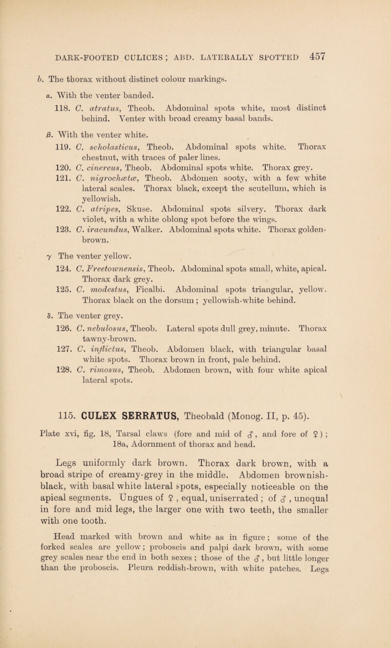 b. The thorax without distinct colour markings. a. With the venter banded. 118. C. atratus, Theob. Abdominal spots white, most distinct behind. Venter with broad creamy basal bands. 13. With the venter white. 119. C. scholasticus, Theob. Abdominal spots white. Thorax chestnut, with traces of paler lines. 120. C. cinereus, Theob. Abdominal spots white. Thorax grey. 121. C. nigrochcetce, Theob. Abdomen sooty, with a few white lateral scales. Thorax black, except the scutellum, which is yellowish. 122. C. atripes, Skuse. Abdominal spots silvery. Thorax dark violet, with a white oblong spot before the wings. 123. G. iracundus, Walker. Abdominal spots white. Thorax golden- brown. 7 The venter yellow. 124. C. Freetownensis, Theob. Abdominal spots small, white, apical. Thorax dark grey. 125. C. modestas, Ficalbi. Abdominal spots triangular, yellow. Thorax black on the dorsum ; yellowish-white behind. 5. The venter grey. 126. C. nebulosus, Theob. Lateral spots dull grey, minute. Thorax tawny-brown. 127. G. inflictus, Theob. Abdomen black, with triangular basal white spots. Thorax brown in front, pale behind. 128. C. rimosus, Theob. Abdomen brown, with four white apical lateral spots. 115. CULEX SERRATUS, Theobald (Monog. II, p. 45). Plate xvi, fig. 18, Tarsal claws (fore and mid of $, and fore of 2 ) ; 18a, Adornment of thorax and head. Legs uniformly dark brown. Thorax dark brown, with a broad stripe of creamy-grey in the middle. Abdomen brownish- black, with basal white lateral spots, especially noticeable on the apical segments. Ungues of ? , equal, uniserrated ; of $ , unequal in fore and mid legs, the larger one with two teeth, the smaller with one tooth. Head marked with brown and white as in figure; some of the forked scales are yellow; proboscis and palpi dark brown, with some grey scales near the end in both sexes ; those of the $, but little longer than the proboscis. Pleura reddish-brown, with white patches. Legs